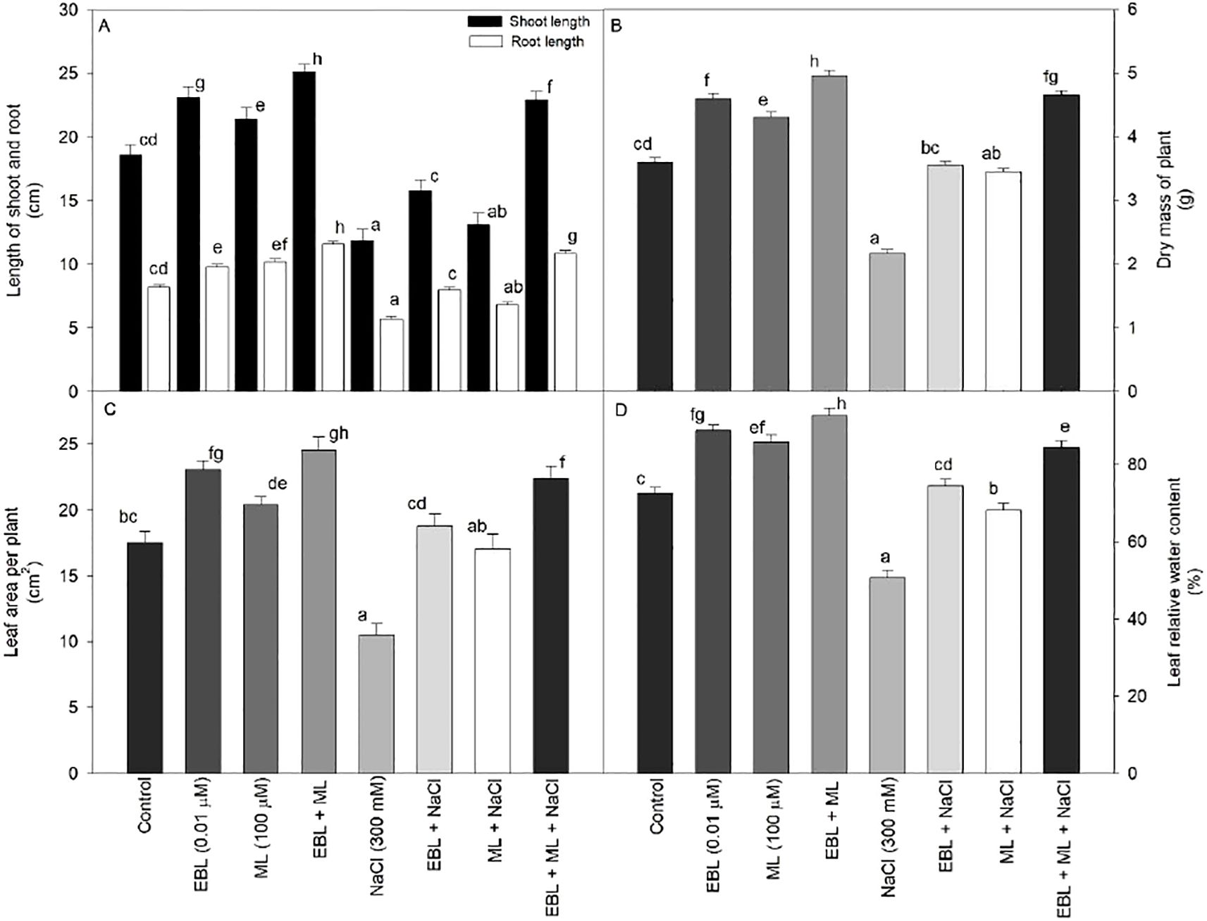 Bar charts labeled A, B, C, and D compare plant growth metrics under different treatments. Chart A shows shoot and root lengths in centimeters; B shows dry mass in grams; C shows leaf area in square centimeters; D shows leaf relative water content in percentage. Treatments include control, EBL, ML, EBL+ML, NaCl, and combinations. Bars are annotated with letters indicating statistical differences.