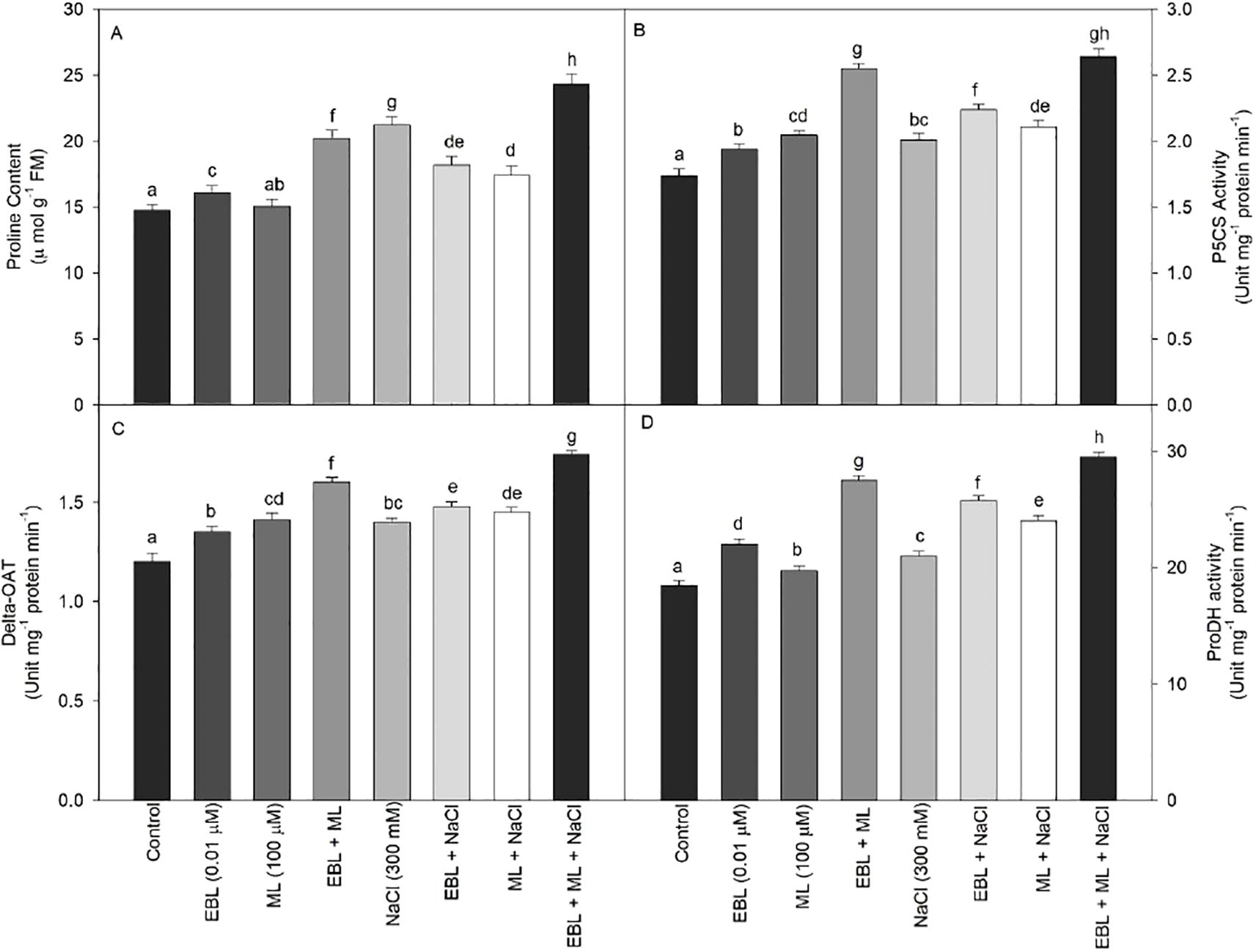 Bar charts display the effects of different treatments on proline content, P5CS activity, Delta-OAT activity, and ProDH activity. Each panel (A-D) shows results for various conditions: Control, EBL (0.01 µM), ML (100 µM), EBL + ML, NaCl (300 mM), EBL + NaCl, ML + NaCl, and EBL + ML + NaCl. Bars are annotated for statistical significance.