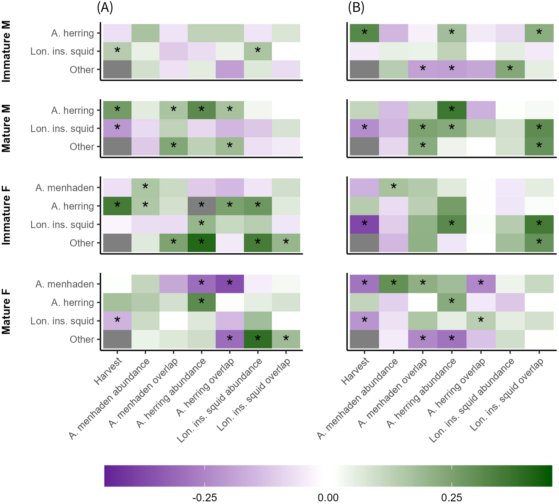 A complex group of colored tiles, organized into high level columns A and B for spring and fall and four high level rows for “Immature M”, “Mature M”, “Immature F”, and “Mature F”, creating eight sub-grids. Each sub-grid has seven columns (Harvest, A. menhaden abundance, A, menhaden overlap, A. herring abundance, A. herring overlap, Lon. Ins. squid abundance, Lon. Ins. Squid. overlap), and a row for each key prey type. Tiles vary from dark green to pale green to white to pale purple to dark purple, with the majority in the pale green to pale purple range. Some of the darker tiles are marked with asterisks. The marked tiles are scattered across the subplots, with some visible grouping around certain prey types.
