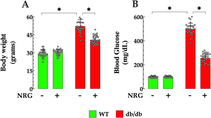 Bar graphs comparing body weight and blood glucose levels. Chart A shows body weight, with green (WT) and red (db/db) bars. Chart B shows blood glucose, also with WT and db/db bars. In both charts, the presence of NRG is denoted by