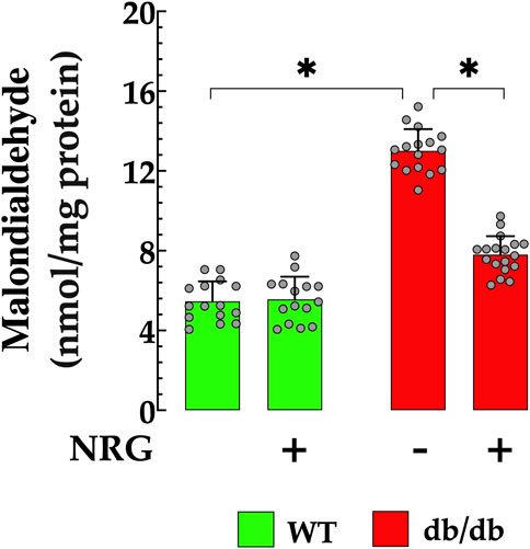Bar graph showing levels of malondialdehyde in nmol per mg of protein, with four groups: WT with and without NRG (green bars) and db/db with and without NRG (red bars). The db/db group without NRG shows the highest levels, while both WT groups have lower levels. Statistical significance is indicated by asterisks.
