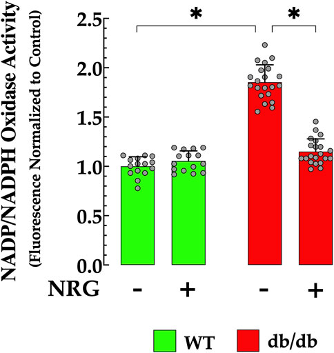 Bar graph showing NADPH oxidase activity fluorescence normalized to control. Two groups, WT (green) and db/db (red), are compared with and without NRG treatment. Activity increases in db/db samples, with significant differences indicated by asterisks.