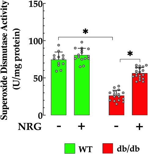 Bar graph showing superoxide dismutase activity in units per milligram protein. Two groups, WT (green) and db/db (red), are tested with and without NRG. WT shows higher activity with both treatments compared to db/db. Asterisks indicate significant differences.