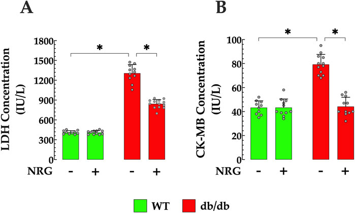 Bar graphs labeled A and B show LDH and CK-MB concentrations in IU per liter. Wild type (green) and db/db (red) groups are compared with and without NRG treatment. db/db values are higher without NRG, significant at p<0.05, indicated by asterisks.