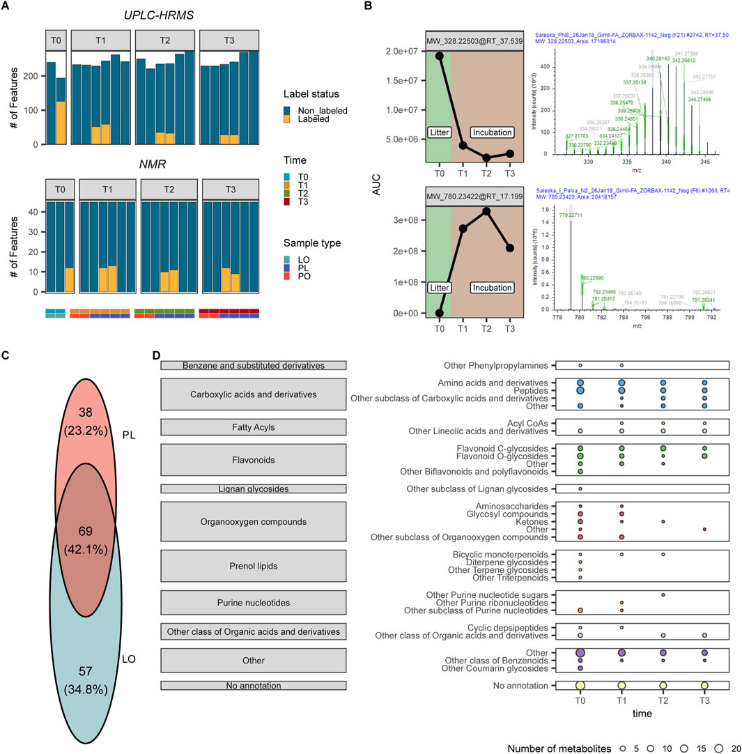 Multifaceted visualization of metabolomic data. Panel A shows bar charts indicating the number of labeled and unlabeled features features detected across the four time points (T0 to T3) using UPLC-HRMS and NMR for different sample types (LO, PL, PO). Panel B presents area under the curve (AUC) plots for two different features detected across the litter and incubation stages, accompanied by their corresponding mass spectra. Panel C is a Venn diagram illustrating how many features were found to be labeled only in PL samples, LO samples or in both sample types. Panel D lists categories and subcategories of detected labeled metabolites with dot plots indicating their abundance over time points T0 to T3.