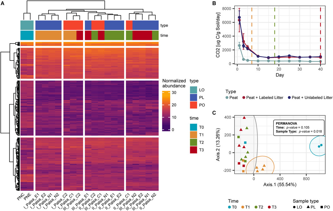 Panel A shows a heatmap illustrating the normalized abundance of UPLC-HRMS detecte metabolites across all samples, categorized by type and time, with a color scale from purple to orange. Panel B is a line graph depicting CO2 release over 40 days for different sample types—peat, peat with labeled litter, and peat with unlabeled litter. Panel C displays a PCoA plot showing sample distribution on two axes, with different symbols and colors indicating time points and sample types. PERMANOVA results are included for significance testing based on time and sample type, with specific p-values noted.
