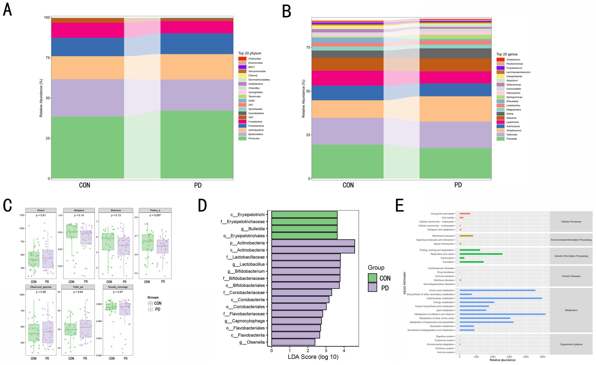 Graphs comparing control (CON) and Parkinson's disease (PD) groups. Panel A and B: Stacked bar charts showing relative and mean abundance of various taxa. Panel C: Box plots depicting distribution of specific measures with statistical significance. Panel D: Bar chart of LDA scores differentiating groups based on taxa. Panel E: Linear discriminant analysis indicating increased taxa for each group.