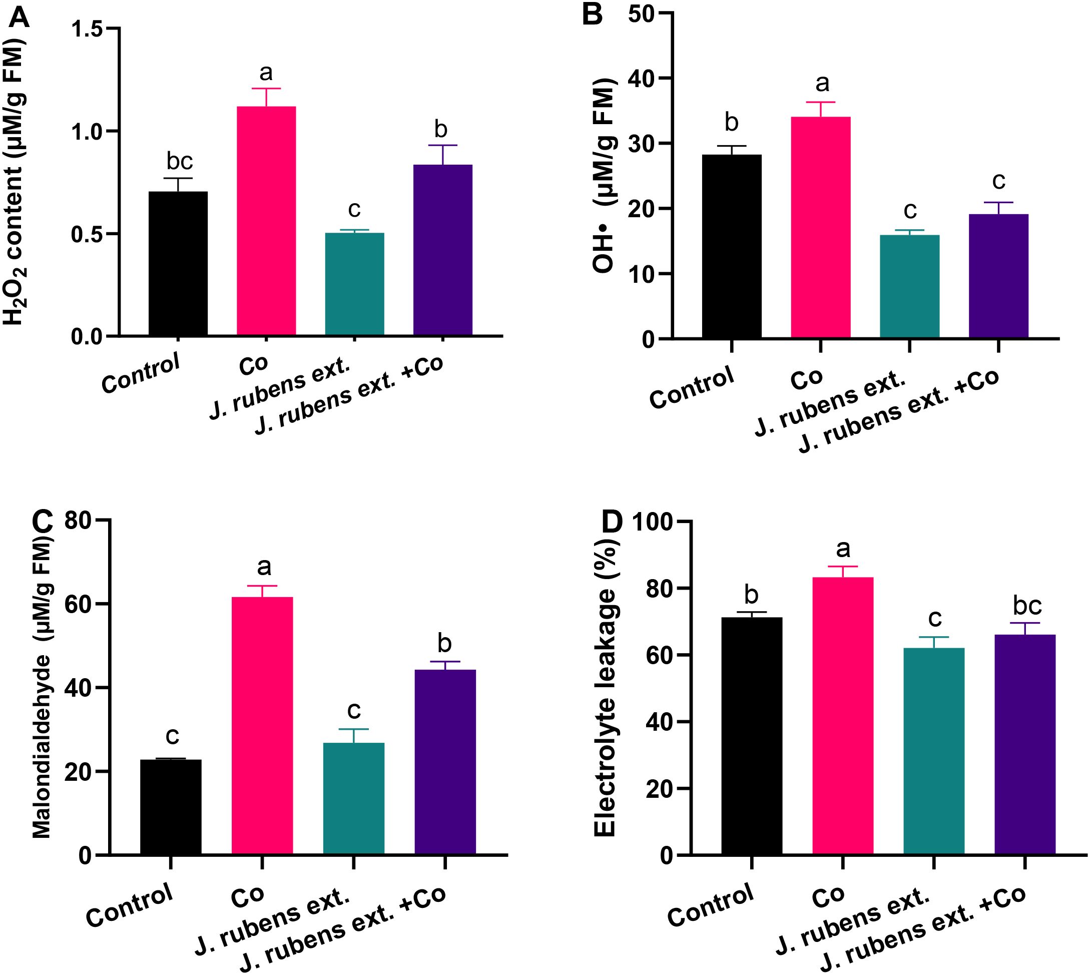 Bar graphs labeled A to D display various biochemical measurements under different conditions: Control, Co, J. rubens extract, and J. rubens extract with Co. (A) shows H₂O₂ content, (B) OH⁻ content, (C) malondialdehyde levels, and (D) electrolyte leakage. Each graph has bars with different letters indicating significant differences among groups.