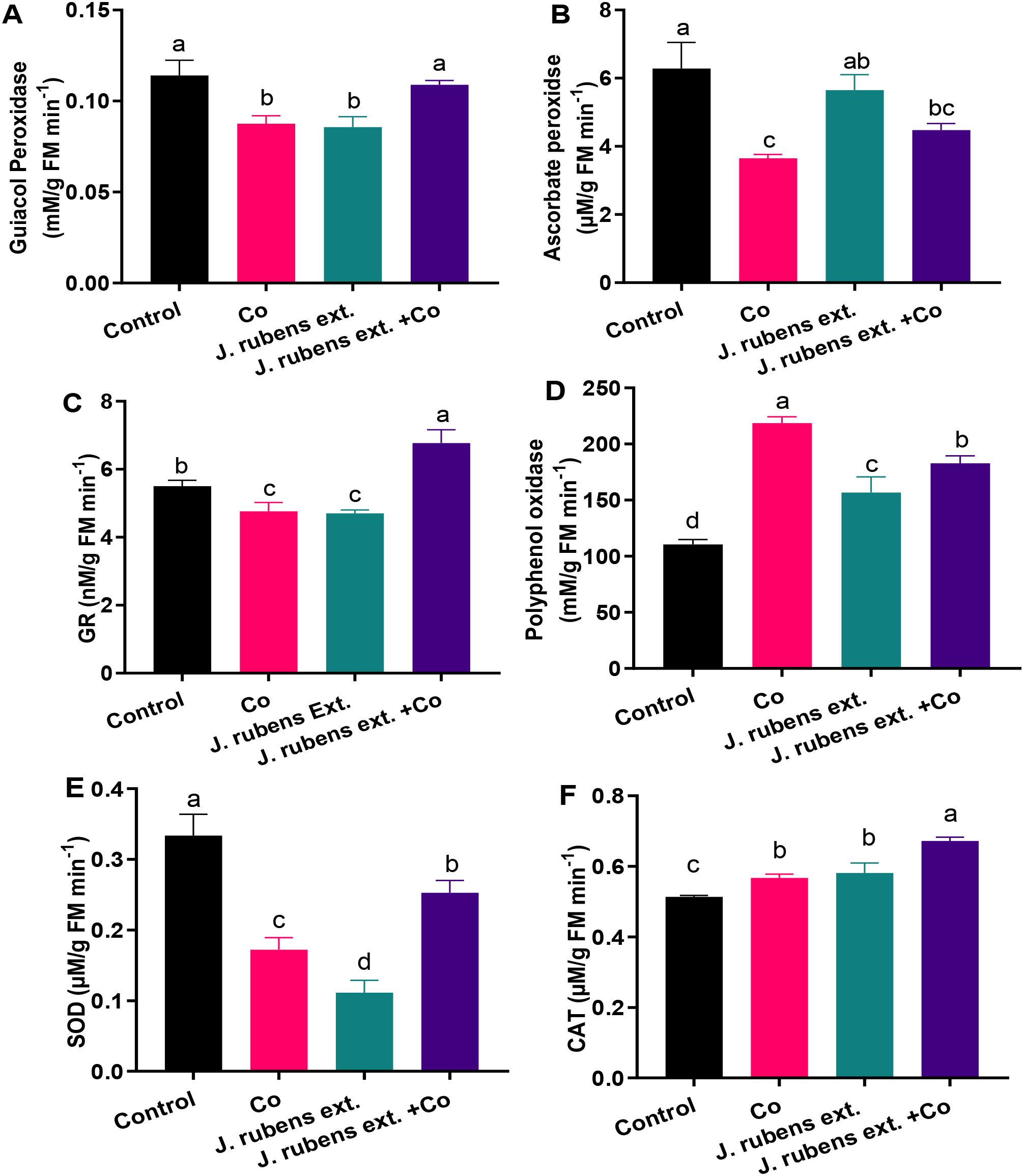 Bar graphs labeled A to F compare enzyme activity levels under different conditions: Control, Co, J. rubens extract, and J. rubens extract with Co. Enzymes measured include Guaiacol Peroxidase, Ascorbate Peroxidase, GR, Polyphenol Oxidase, SOD, and CAT. Different letters above columns indicate statistical significance. Control generally shows higher activity, with variations across treatments.