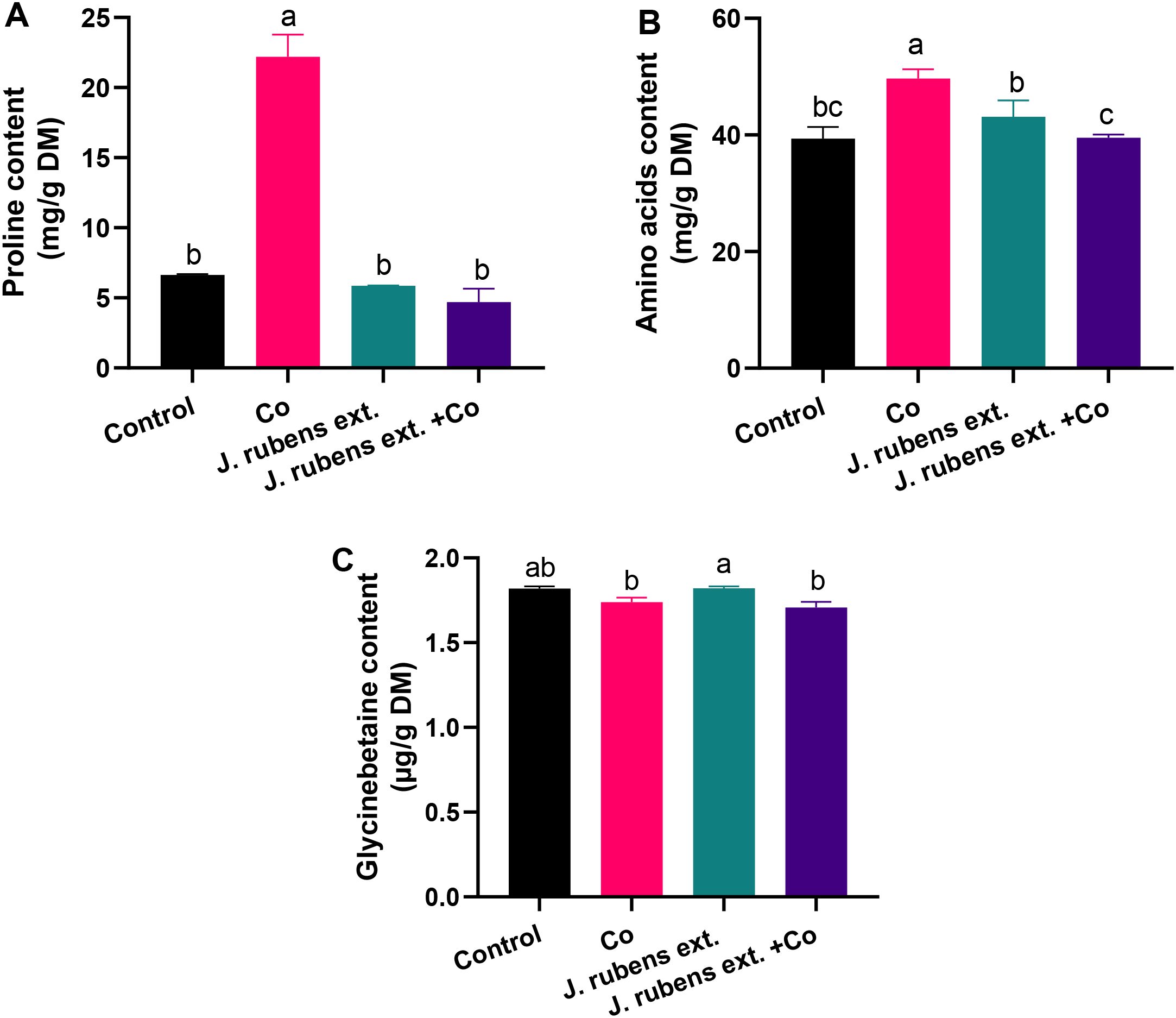 Three bar graphs labeled A, B, and C compare the effects of treatments on proline, amino acid, and glycinebetaine content in mg/g or µg/g DM. Graph A shows proline content highest with 'Co,' graph B shows amino acids content highest with 'Co,' and graph C shows glycinebetaine content highest with 'J. rubens ext.' Error bars and labels indicate statistical differences among treatments.