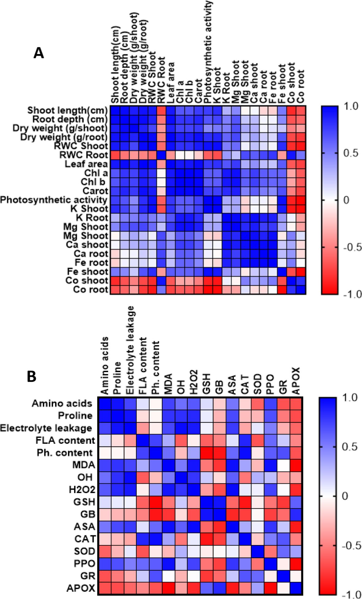 Heatmaps labeled A and B display correlation data. A shows correlations among plant growth parameters like shoot length, root depth, dry weight, and leaf area, along with photosynthetic activity and nutrient content including potassium, magnesium, and calcium. B displays correlations for biochemical markers, including amino acids, electrolyte leakage, proline, antioxidant enzyme activities, and oxidative stress indicators such as MDA and H₂O₂. Both heatmaps use a color scale from blue (1.0) to red (-1.0), indicating correlation strength.