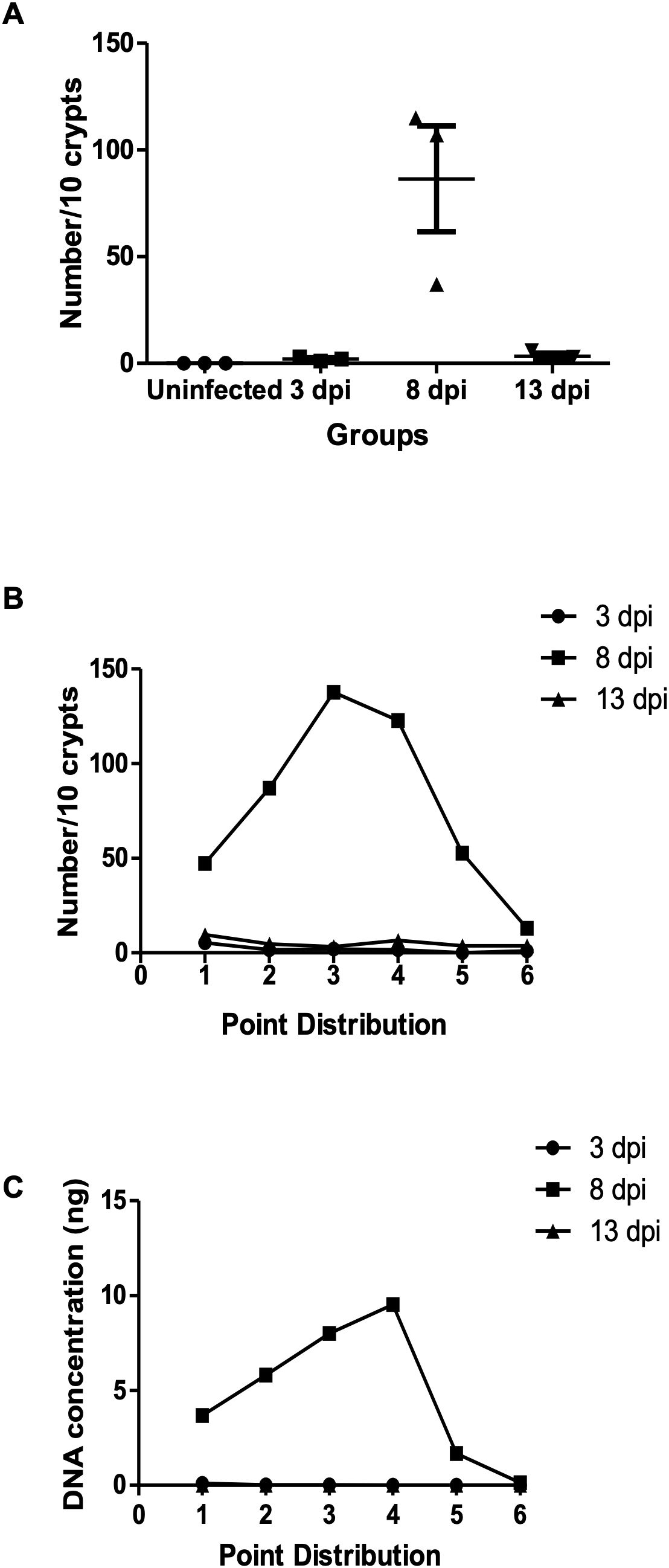 Panel A shows parasite burden quantified from histological examination, counted as the number of parasites across a total of 10 intestinal crypts. The highest burden was observed at 8 days post-infection.Panel B presents histological parasite distribution along six defined points spanning from the caecum to the colon, assessed at 3, 8, and 13 days post-infection. The highest parasite count was observed at point 3 in the 8 days post-infection group.Panel C displays parasite DNA concentration assessed by qPCR across the same six-point caecum-to-colon distribution at 3, 8, and 13 days post-infection. The peak DNA level occurred at point 4 in the 8 days post-infection group.All panels use different symbols to represent 3, 8, and 13 days post-infection for clarity.