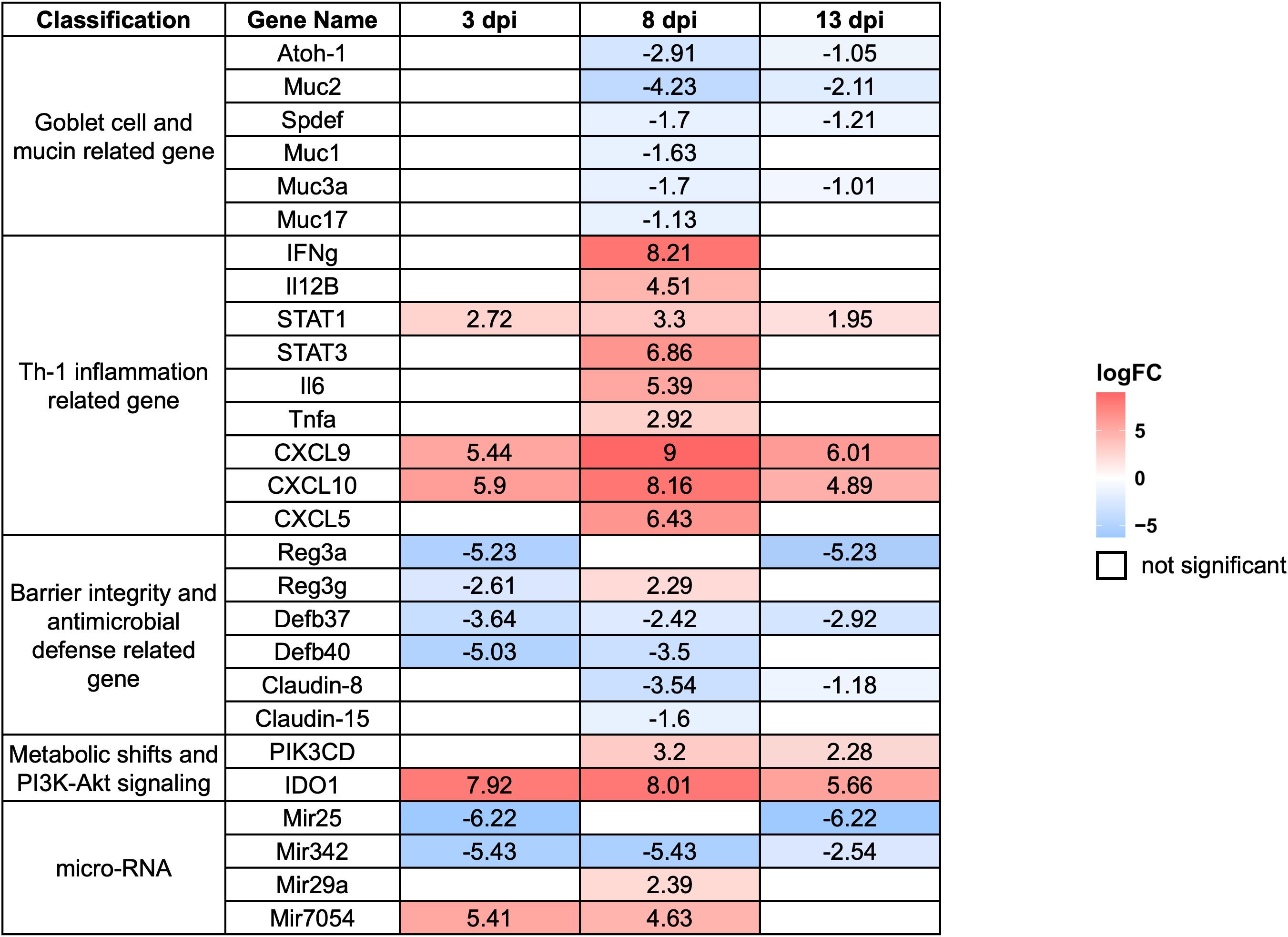 Heatmap illustrating gene expression profiles based on log fold change at 3, 8, and 13 days post-infection. Genes are grouped into functional categories: goblet cell markers, Th1-type inflammation, epithelial barrier integrity, metabolic pathways, and microRNA regulation. Red cells indicate gene upregulation, blue indicates downregulation, and white denotes non-significant changes. Notable findings include strong upregulation of IFN-γ, IDO1, and CXCL9 in the Th1 inflammation group, particularly at 8 days post-infection.