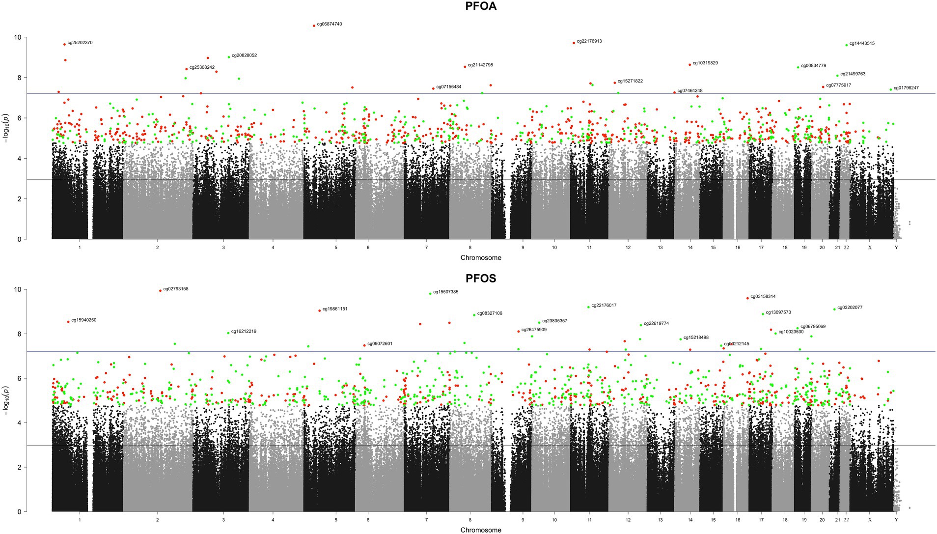 Two Manhattan plots display genetic associations for PFOA and PFOS across chromosomes. The x-axis represents chromosomes. The y-axis shows the negative logarithm of p-values. Significant data points are above a blue line. Green and red colors represent the top 1,000, respectively, hyper- and hypo-methylated CpGs.