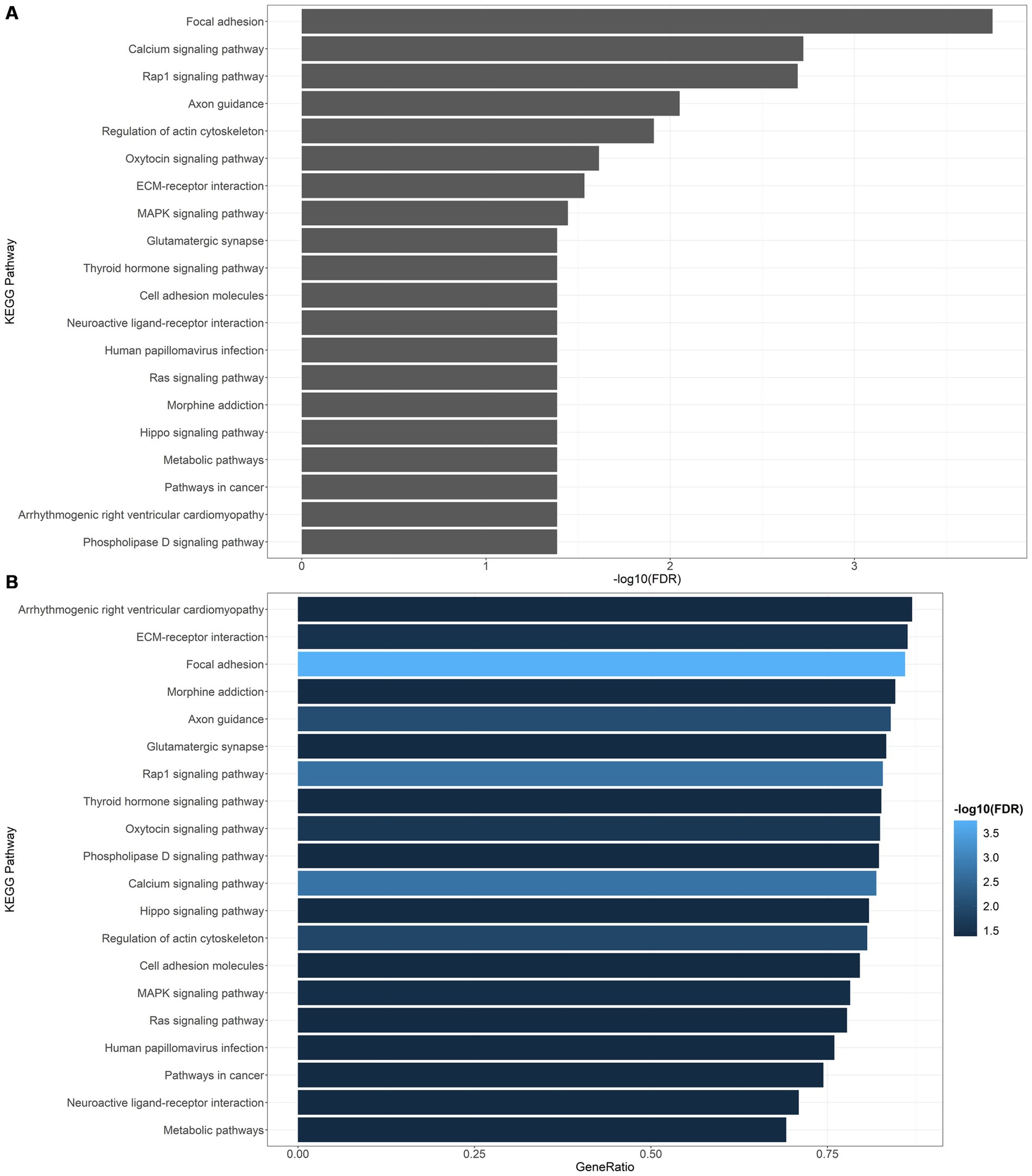 Four bar graphs depict KEGG pathway analyses for PFOA (left) and PFOS (right).The terms of the KEGG pathways are depicted on the y-axis. On the top figures, the x-axis is the -log10 FDR of the tests of the gene set enrichment in each pathway. On the bottom figures, the x-axis is the ratio between the number of differentially methylated genes and the number of genes in the KEGG term.