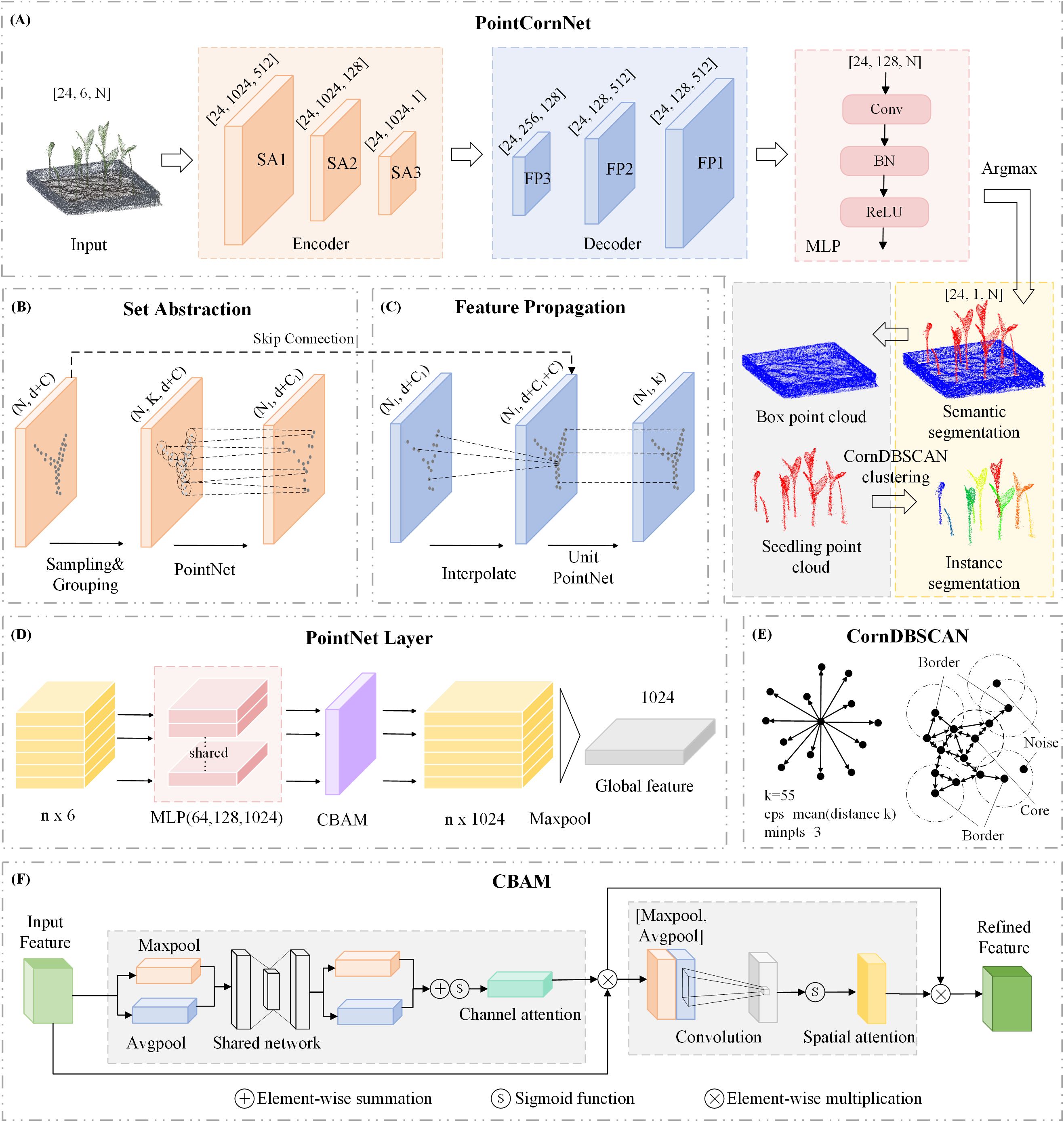 Diagram illustrating the architecture and components of PointCornNet, a neural network model for processing 3D point clouds of corn plants. (A) Overall flow includes input, set abstraction, feature propagation, and output stages with semantic and instance segmentation. (B) Set abstraction details sampling, grouping, and PointNet operations. (C) Feature propagation involves interpolation and PointNet unit processes. (D) PointNet layer describes multi-layer perceptron (MLP), CBAM, pooling, and feature extraction. (E) CornDBSCAN clustering showing relations among points with core, border, and noise points. (F) CBAM highlights attention mechanisms with channel and spatial attention modules and feature refinement.