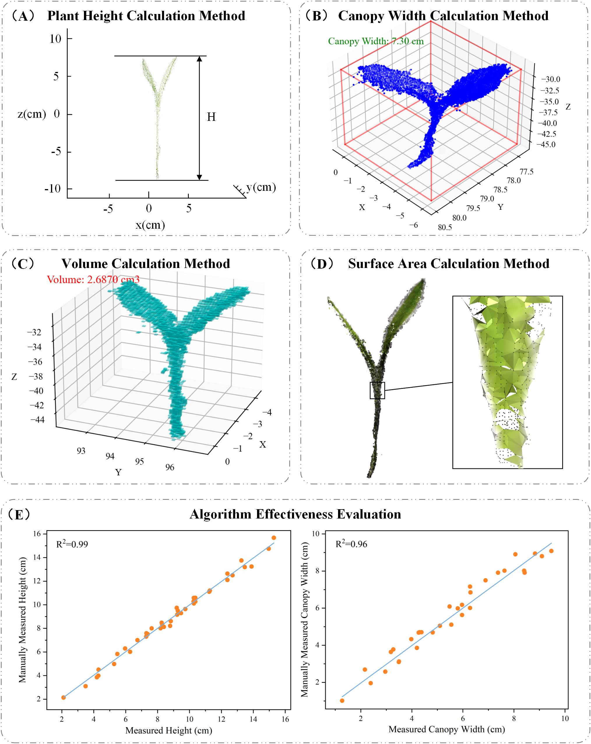 A series of diagrams and graphs for plant analysis: (A) A graph showing plant height calculation method with a vertical arrow denoting height in centimeters. (B) A 3D scatter plot representing canopy width calculation with highlighted width measurement. (C) A 3D scatter plot for volume calculation, showing a calculated volume of 2.6870 cubic centimeters. (D) An illustration of surface area calculation method, with a detailed inset. (E) Two scatter plots for algorithm effectiveness evaluation; the first plot compares measured and manually calculated height showing R²=0.99, and the second compares canopy width with R²=0.96.