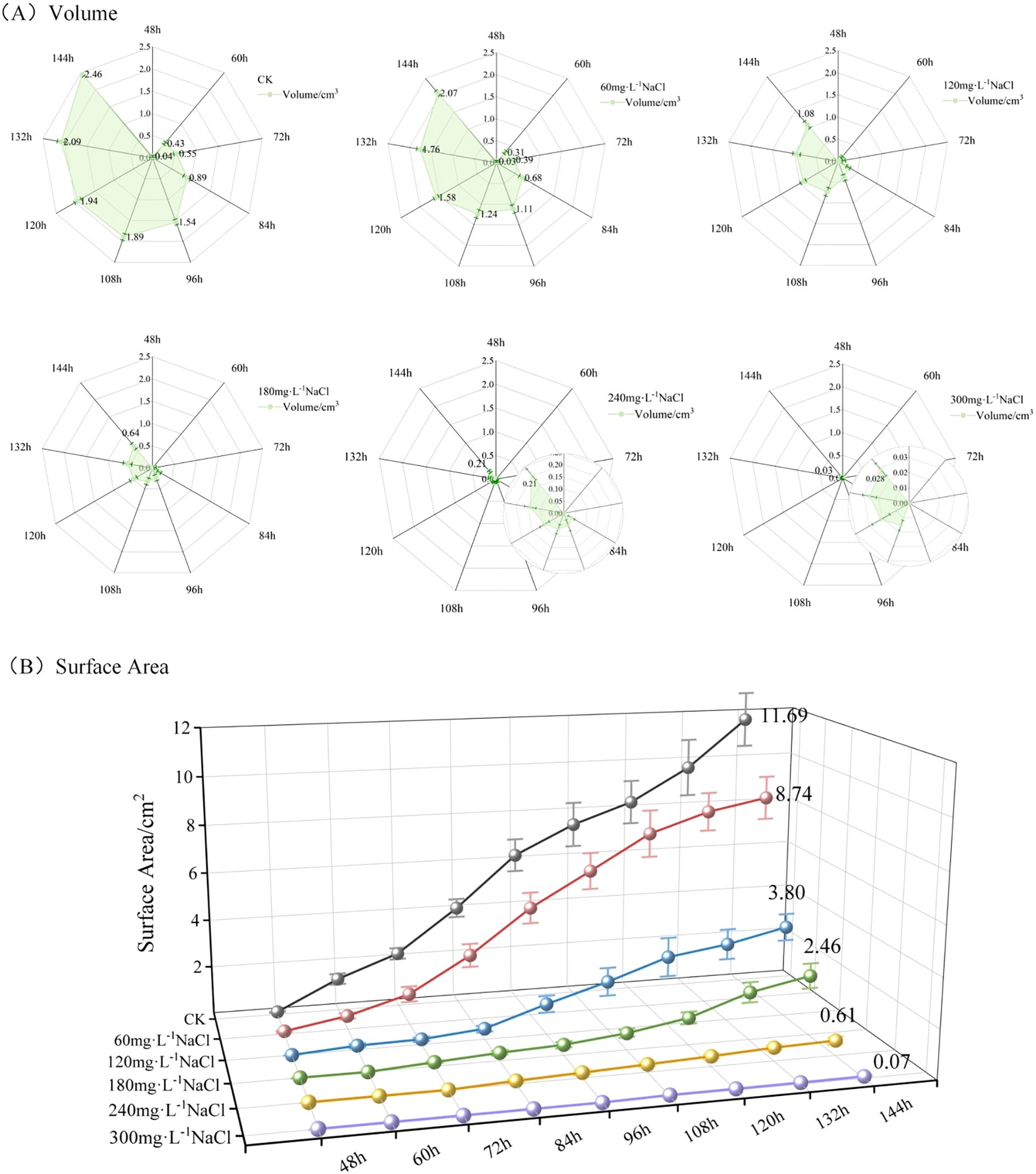 Panel (A) displays six radar charts illustrating volume changes over time for various NaCl concentrations: CK, 60 mg/L, 120 mg/L, 180 mg/L, 240 mg/L, and 300 mg/L. Panel (B) features a 3D line graph showing surface area changes over time for the same concentrations. Each line represents a different concentration, with values increasing over time, indicating varying growth rates in volume and surface area.