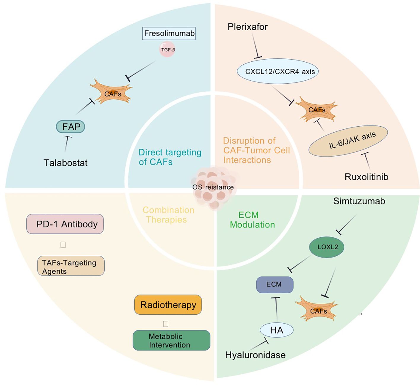 A circular schematic depicting strategies for overcoming OS resistance involving cancer-associated fibroblasts (CAFs). The circle is divided into four quadrants: Direct targeting of CAFs (blue) includes Talabostat and Fresolimumab; Disruption of CAF-Tumor Cell Interactions (orange) includes Plerixafor and Ruxolitinib; Combination Therapies (yellow) mentions PD-1 Antibody, TAFs-Targeting Agents, and Radiotherapy; ECM Modulation (green) includes Simtuzumab and Hyaluronidase, targeting LOXL2 and HA. Central to the diagram is the concept of OS resistance.