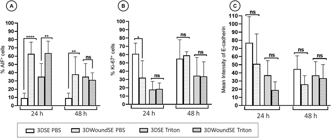 Bar charts (A, B, C) comparing four conditions: 3DSE PBS, 3DWoundSE PBS, 3DSE Triton, and 3DWoundSE Triton at 24 and 48 hours. Chart A shows percentages of AIF+ cells; Chart B shows Ki-67+ cells; Chart C shows mean intensity of E-cadherin. Significant differences and non-significant results are indicated with asterisks and