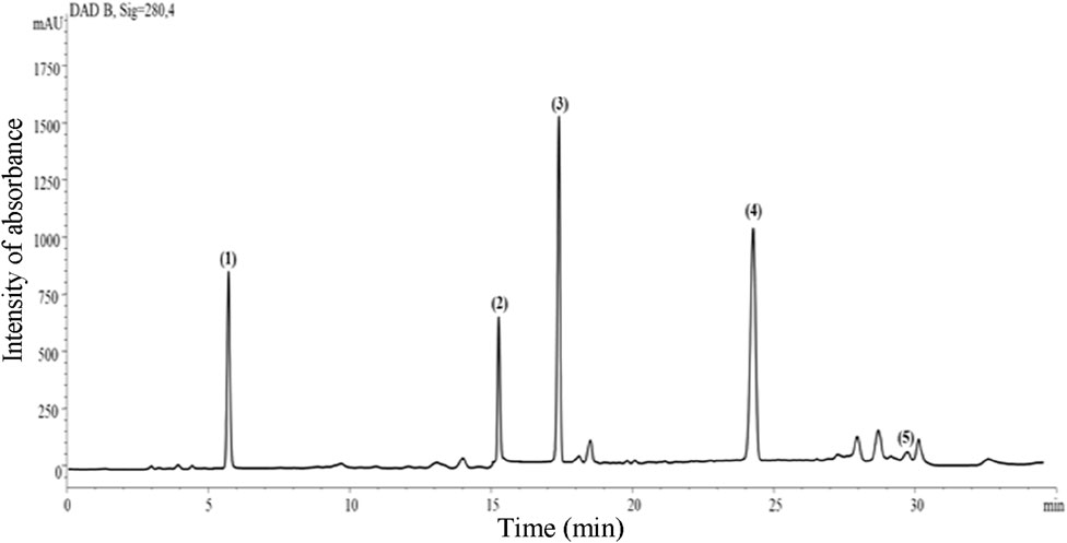 Chromatogram showing absorbance intensity over time in minutes. Peaks are labeled (1) through (5). Significant peaks are at approximately 5, 15, 21, 25, and 30 minutes, with peak (3) being the highest.