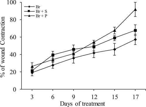 Line graph showing percentage of wound contraction over 17 days of treatment. Three lines represent Br, Br+S, and Br+P treatments. All lines trend upward, with Br+P showing the highest contraction at day 17, indicating effectiveness.