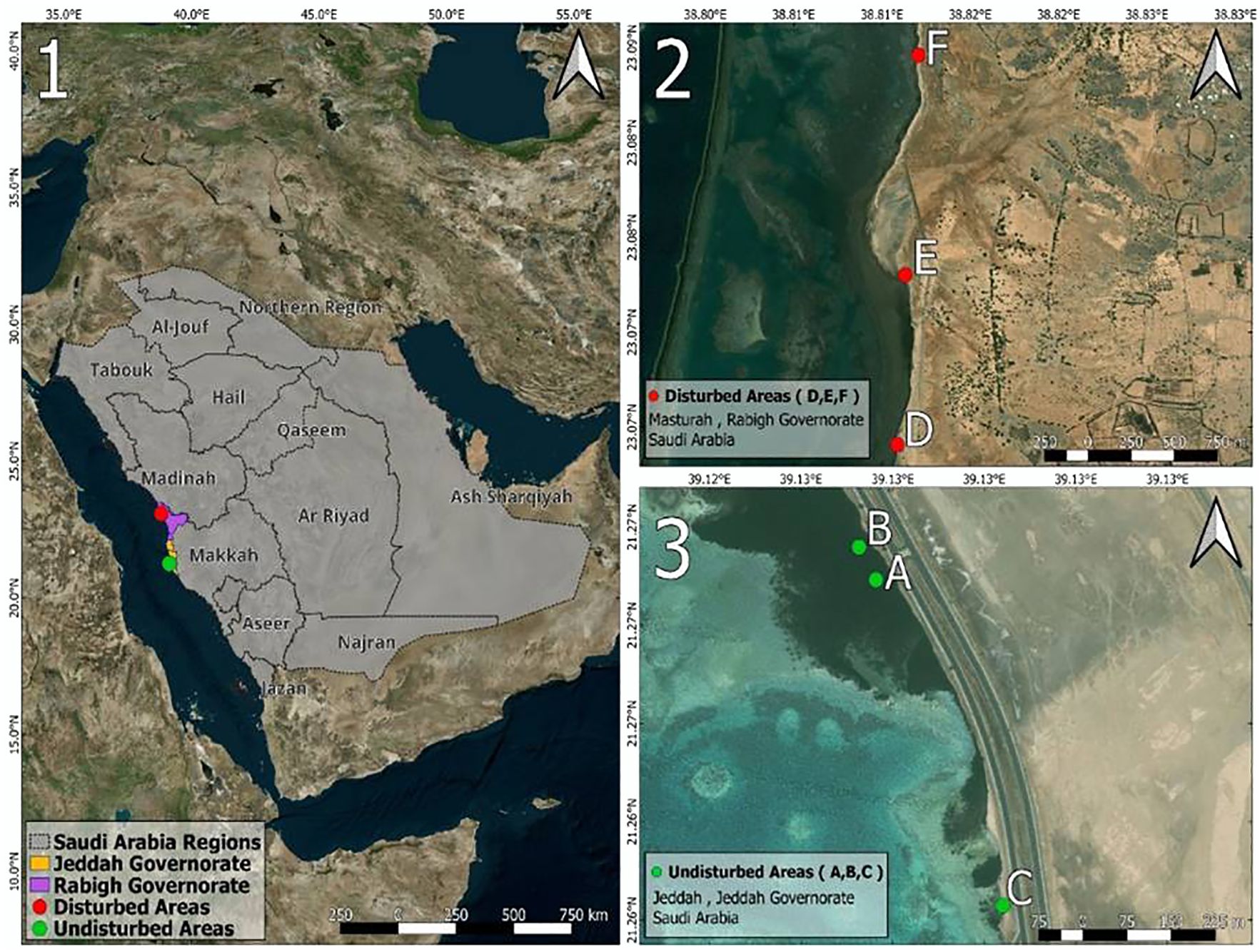 Map divided into three sections. Panel 1 shows a map of Saudi Arabia with regions marked, highlighting the Jeddah and Rabigh Governorates. Panel 2 details disturbed areas in Mastruh, Rabigh, marked D, E, F. Panel 3 displays undisturbed areas in Jeddah, marked A, B, C. Arrows indicate north.