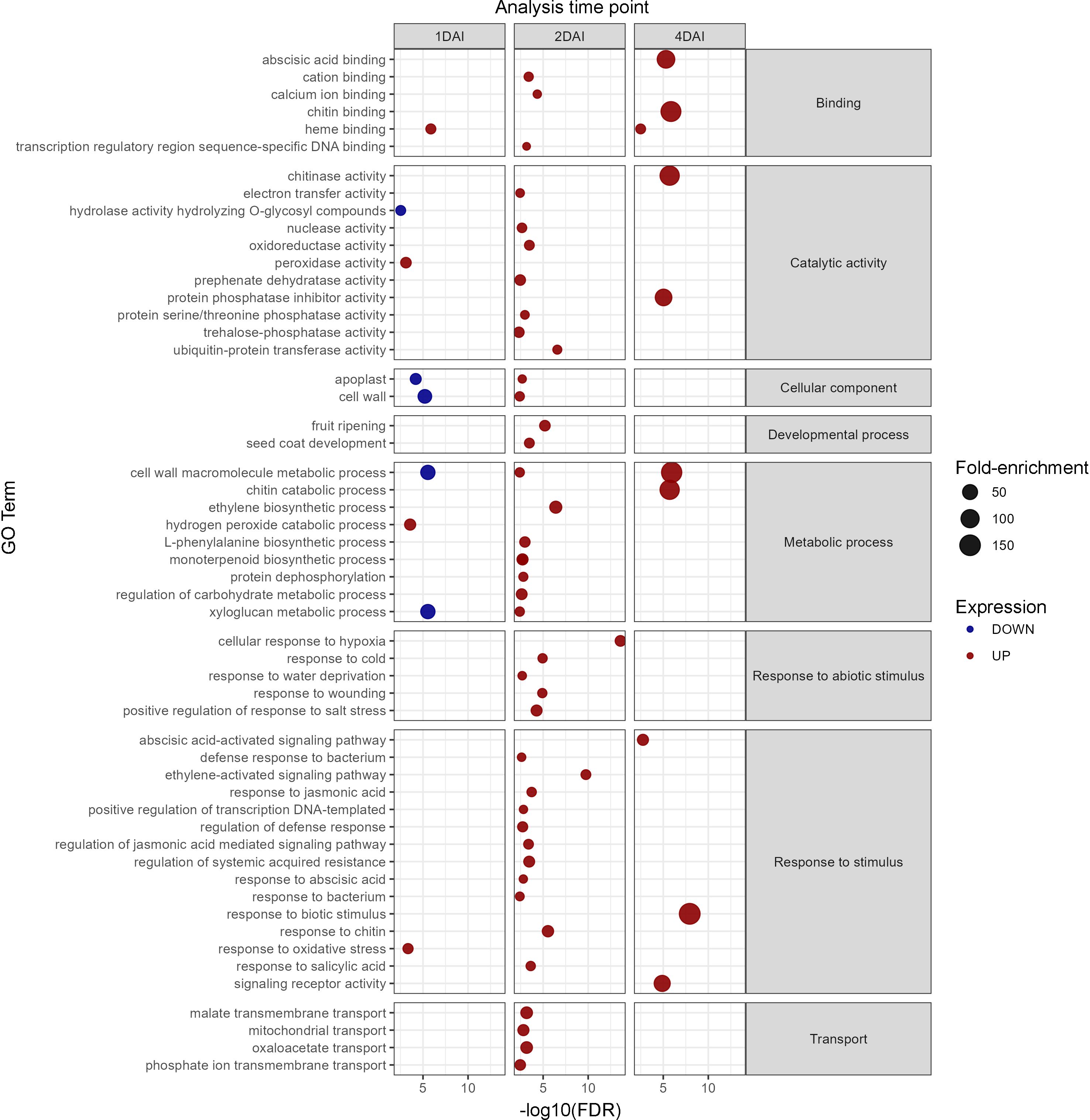 Bubble plot showing gene expression changes at different daysafter inoculation (1DAI, 2DAI, 4DAI) in Musa acuminata Calcutta 4, during interaction with Fusarium oxysporum f. sp. cubense STR4. Gene ontology categories include binding, catalytic activity, cellular component, and more. Red circles indicate up-regulation, blue indicate down-regulation. Circle size represents fold-enrichment levels.