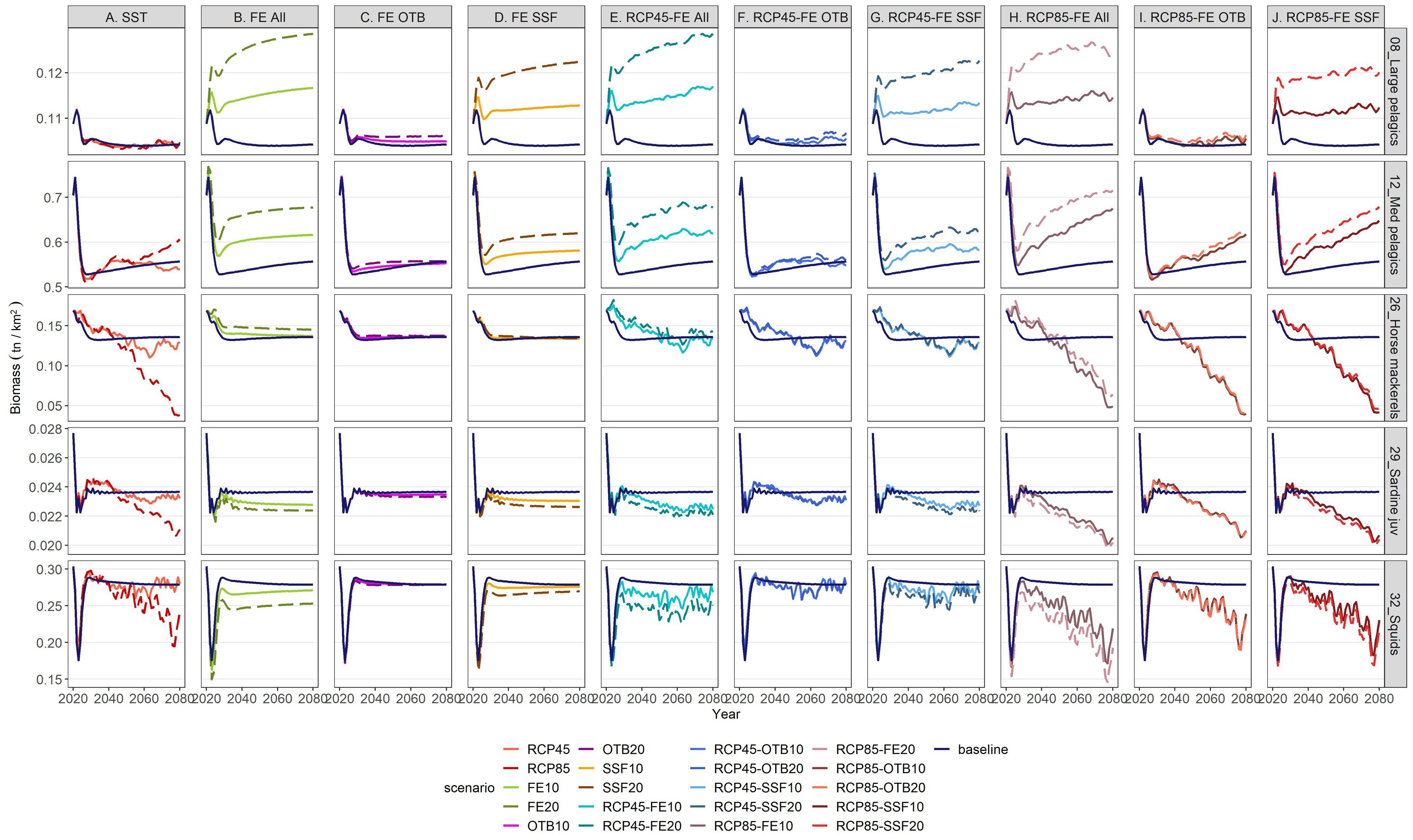 The image consists of a series of line graphs displayed in a grid. The graphs illustrate biomass trends over time from 2020 to 2080 across different scenarios and species groups. Each column represents a different scenario, while each row focuses on distinct species groups like large pelagics and squids. The color-coded legend at the bottom identifies various scenarios such as RCP45 and RCP85, alongside fishing efforts. The y-axis represents biomass in tons per square kilometer. The graphs show varying patterns of increase and decrease in biomass over the decades.