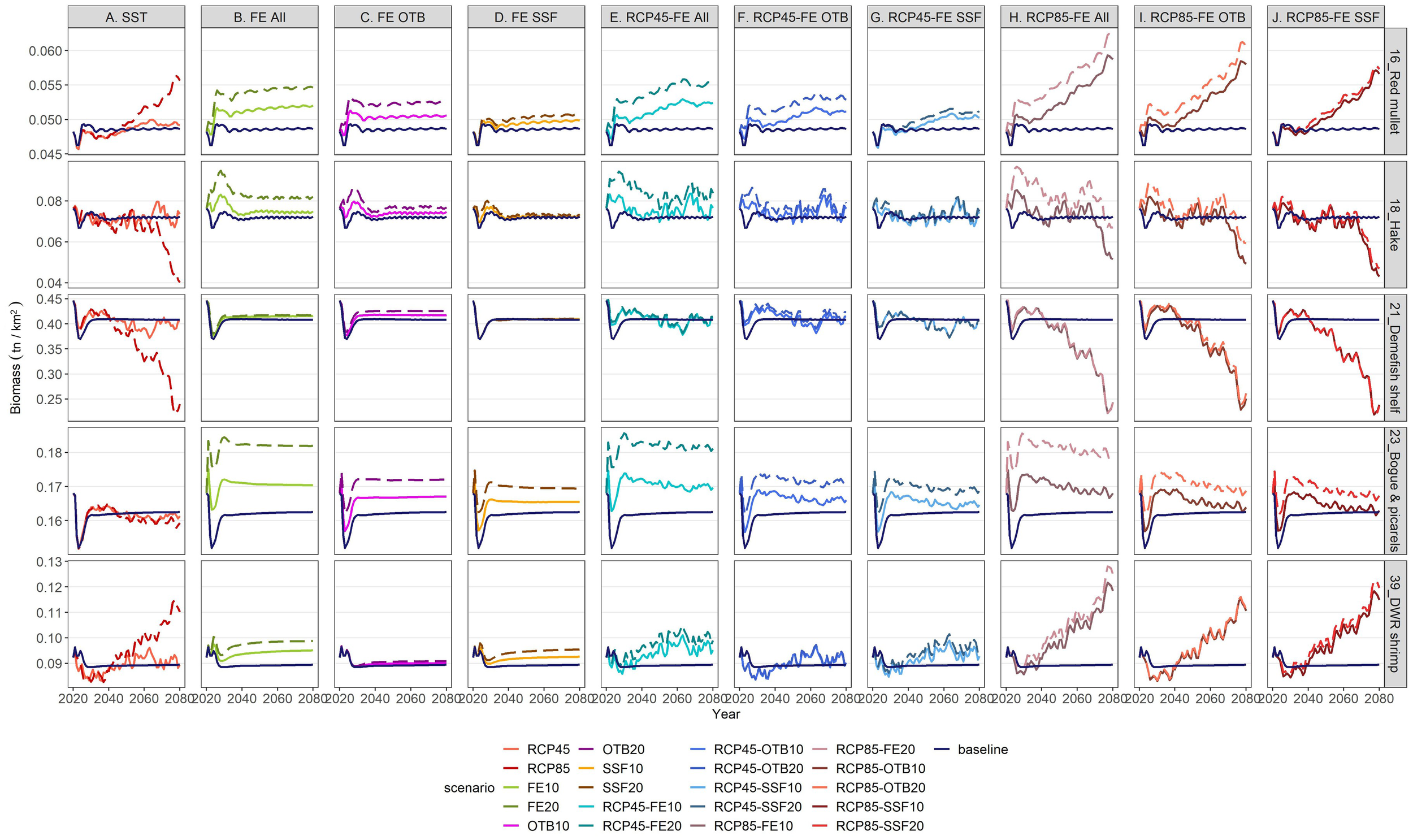 Grid of line graphs showing biomass changes over time from 2020 to 2080 across different scenarios. Columns labeled A to J correspond to various conditions like SST, FE All, and RCP scenarios. Rows represent species such as Red mullet and Hake. Lines in various colors and styles indicate different scenarios like RCP45, RCP85, and OTB20. The legend denotes lines representing different fishing and climate scenarios. Biomass is measured in tons per square kilometer.