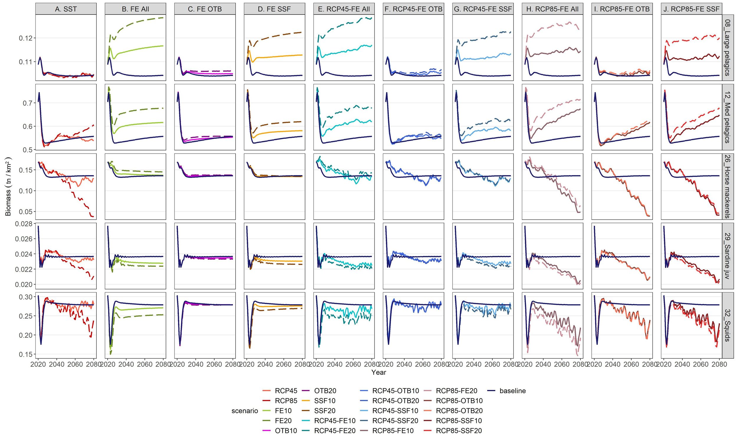 The image consists of a series of line graphs displayed in a grid. The graphs illustrate biomass trends over time from 2020 to 2080 across different scenarios and species groups. Each column represents a different scenario, while each row focuses on distinct species groups like large pelagics and squids. The color-coded legend at the bottom identifies various scenarios such as RCP45 and RCP85, alongside fishing efforts. The y-axis represents biomass in tons per square kilometer. The graphs show varying patterns of increase and decrease in biomass over the decades.