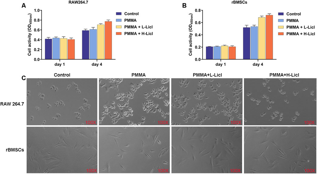 Graphs and microscopy images illustrate cell activity and morphology. Graphs A and B show cell activity (OD450nm) of RAW 264.7 and rBMSCs on days one and four under four conditions: Control, PMMA, PMMA with low LiCl, and PMMA with high LiCl. Microscopy images C depict RAW 264.7 and rBMSCs under the same conditions at 100X magnification, showing differences in cell distribution and morphology.