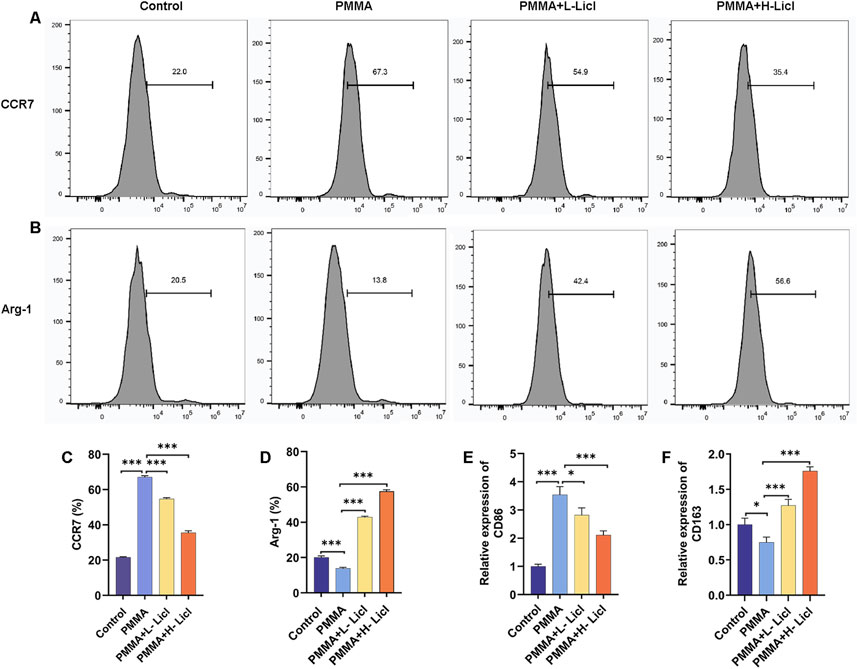 Flow cytometry histograms and bar graphs showing expression levels of CCR7 and Arg-1 in different experimental conditions. Panels A and B display histograms for CCR7 and Arg-1, respectively, under conditions: Control, PMMA, PMMA plus low LiCl, and PMMA plus high LiCl. Percentages are indicated on the histograms. Panels C and D are bar graphs summarizing CCR7 and Arg-1 percentages. Panels E and F show relative expression of CD86 and CD163. Statistical significance is indicated with asterisks.