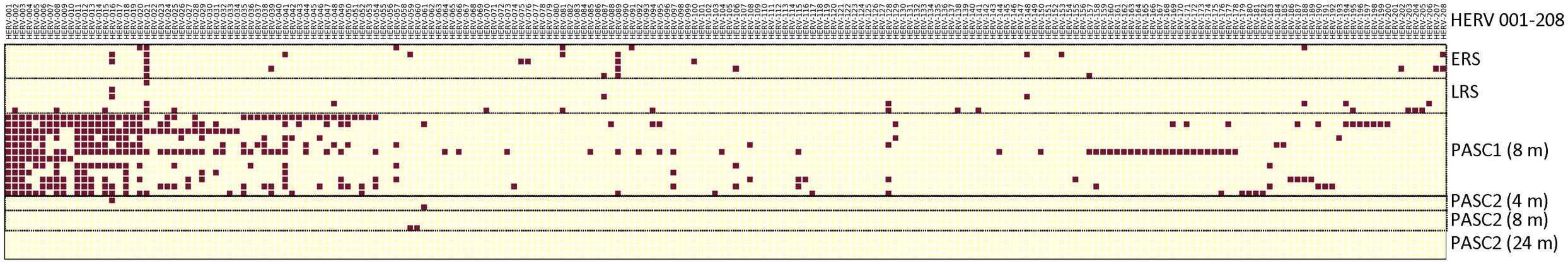 Chart of viral activity with red squares representing presence of viral fragments across various samples. Columns labeled HERV 001-208 are shown. Rows labeled ERS, LRS, PASC1 (8 m), and PASC2 (4 m, 8 m, 24 m) indicate sample types and collection times. Yellow grid background.