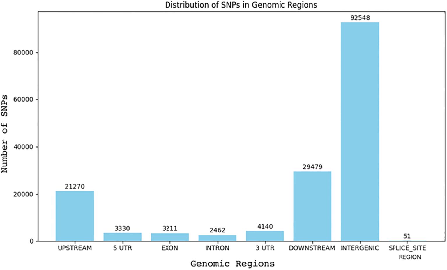 Bar chart showing the distribution of single nucleotide polymorphisms (SNPs) across genomic regions. Intergenic regions have the highest count with 92,548 SNPs. Other regions include downstream (29,479), upstream (21,270), 5 UTR (3,330), exon (3,211), 3 UTR (4,140), intron (2,462), and splice site (51).