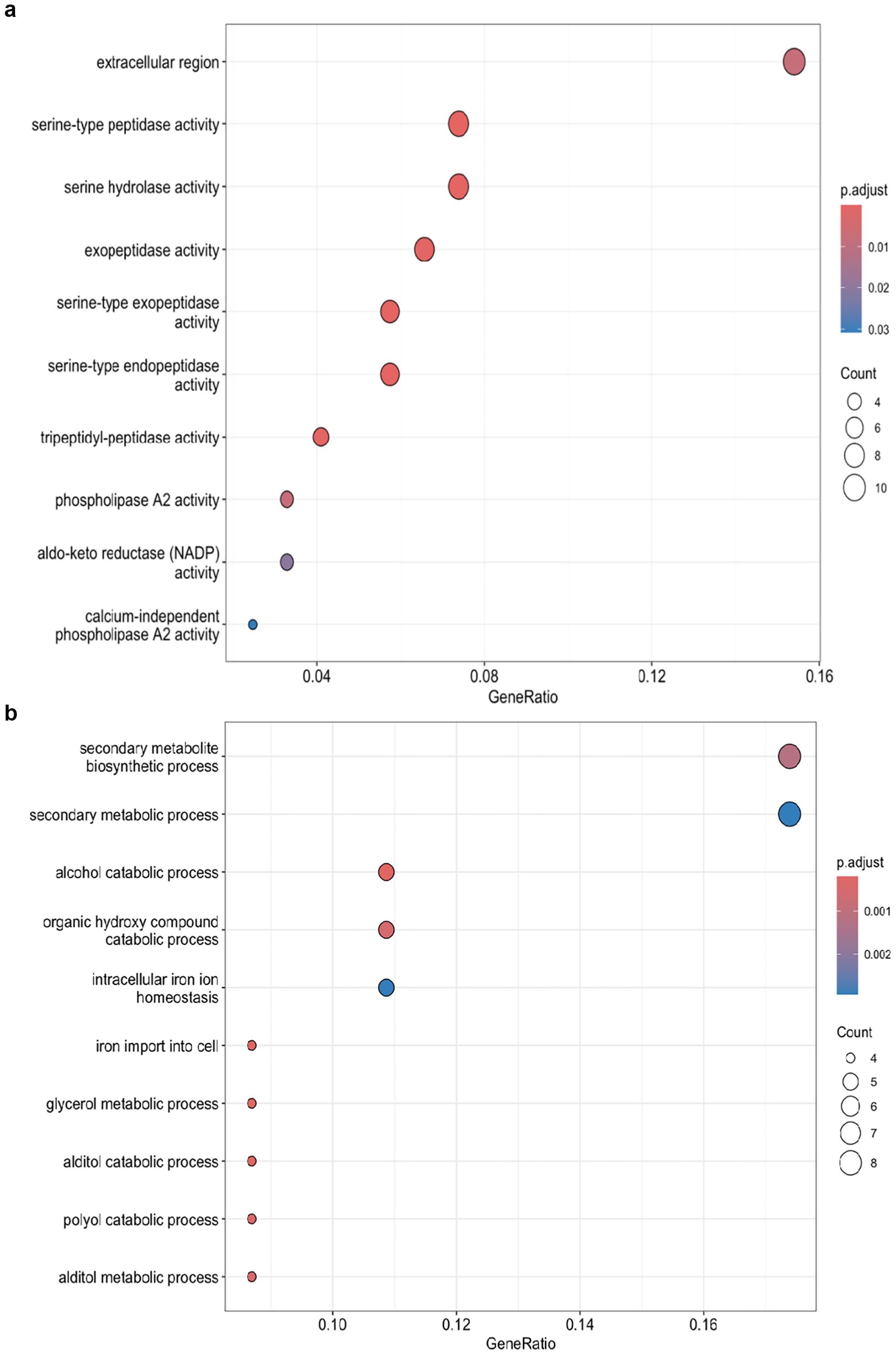 Two bubble plots display gene enrichment analysis results. Plot A shows gene ratios for various enzyme activities, with bubble sizes representing counts and colors indicating p-values. Plot B displays gene ratios for metabolic processes with similar bubble size and color encoding. Labels for each category are alongside corresponding bubbles.