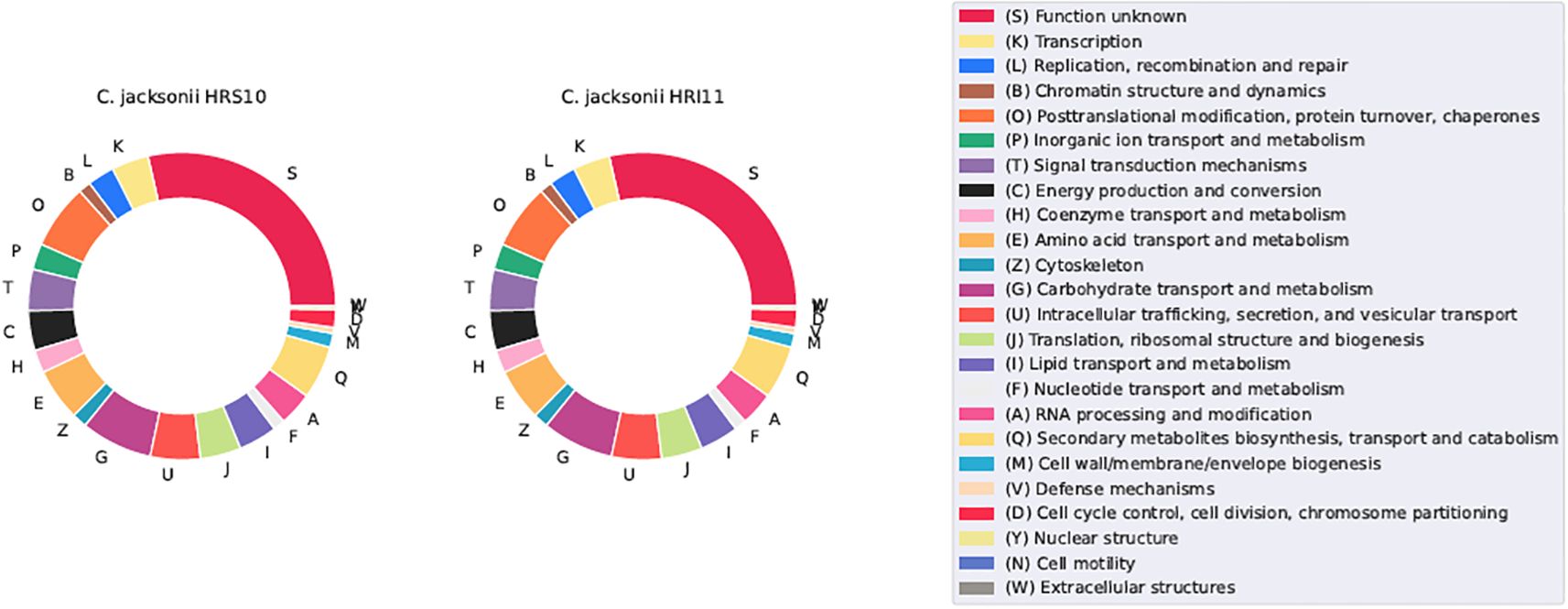 Two circular charts depict functional classification of C. jackosonii HRS10 and HRI11. Each segment represents a different biological process, like transcription and metabolism, color-coded and labeled with letters. A key lists corresponding processes, such as 'S' for function unknown and 'K' for transcription.