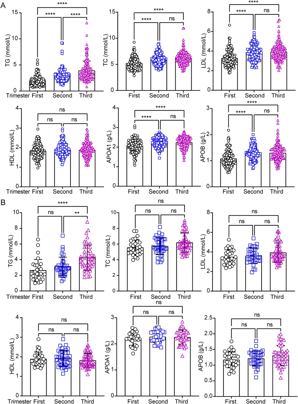 Analysis of circulating lipids profiles across the pregnancy trimesters in age-dependent changes. Grouped violin plots comparing various blood markers across three trimesters. Panel A shows significant differences for TG, TC, LDL, APOA1, and APOB levels in under 35-years old pregnant women. Panel B displays plots in over 35-years old pregnant women, with TG showing significant changes in the third trimester. HDL shows no significant change across trimesters. Statistical significance indicated above the plots.