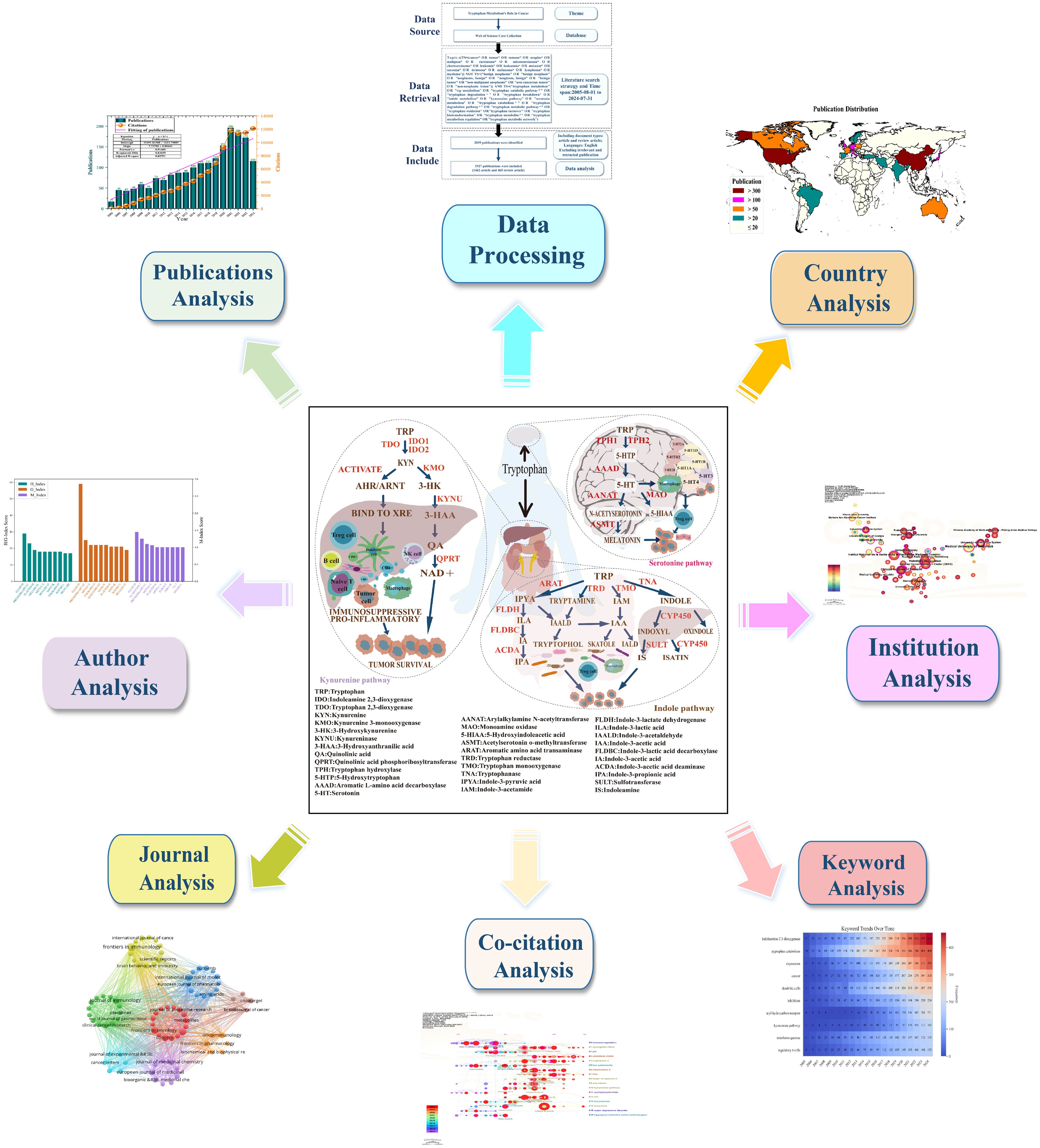 Flowchart illustrating a comprehensive data analysis process. Central section highlights “Data Processing,” surrounded by arrows pointing to different types of analyses: Publications, Author, Journal, Co-citation, Keyword, Institution, and Country. Each analysis type has a corresponding chart, graph, or map, demonstrating a method of examining data like publication trends, author distribution, and global research activity. Each segment is color-coded for distinction.
