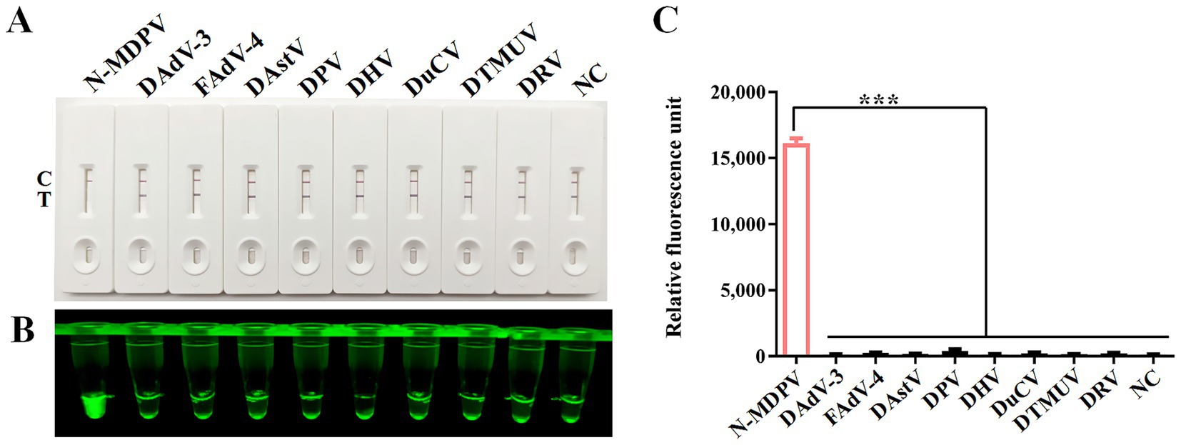 Lateral flow assays (A) show various results for different viruses, labeled N-MDPV to NC. Test lines indicate presence or absence. (B) Displays fluorescent green solutions in test tubes. (C) Bar graph depicts relative fluorescence units, with a high value for N-MDPV and low values for others, indicating significant difference (***) between N-MDPV and other samples.