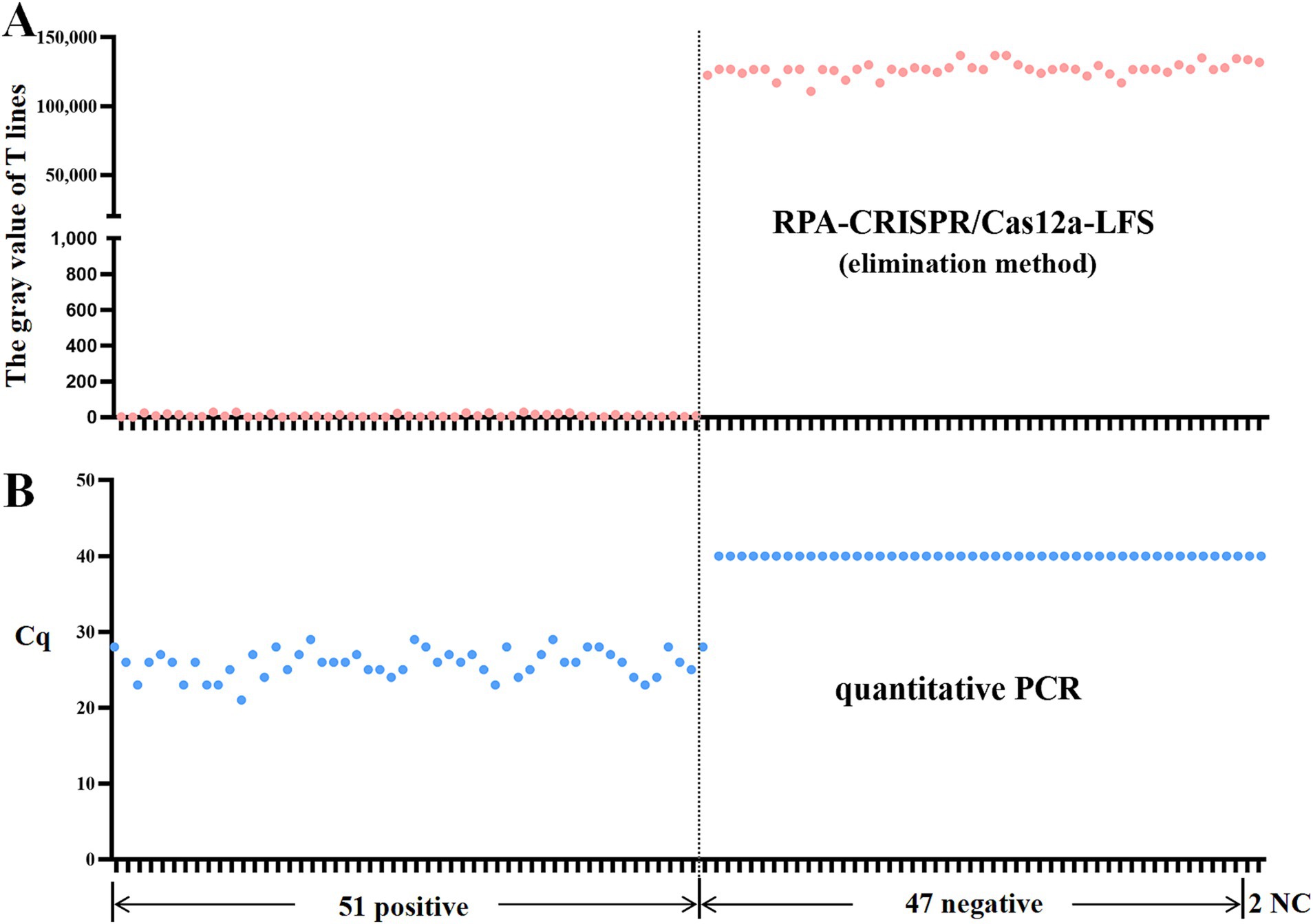 Scatter plots comparing RPA-CRISPR/Cas12a-LFS and quantitative PCR methods. Plot A shows gray values for T lines, with 51 positive and 49 negative results; higher values for positives. Plot B indicates Cq values, with variation among positives and consistent values for negatives.