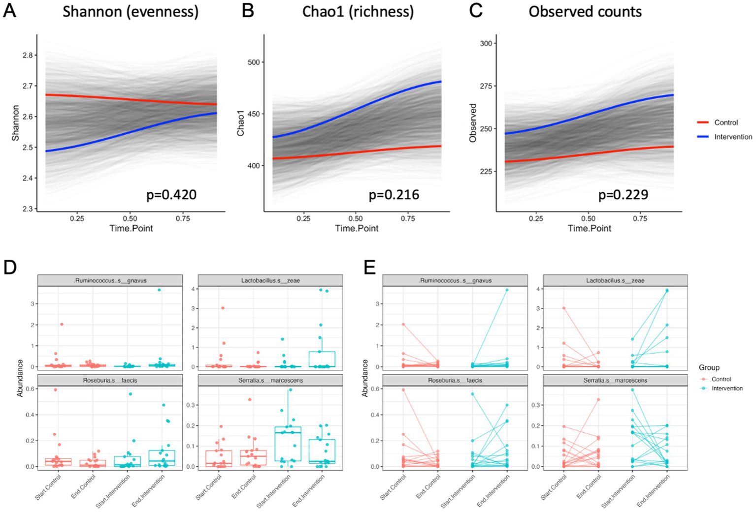 Graphs analyzing microbial diversity and abundance. A, B, C: Line graphs showing Shannon, Chao1, and observed counts for control (red) and intervention (blue) with p-values of 0.420, 0.216, 0.229. D: Box plots comparing microbial abundance of four species across control and intervention groups. E: Line graphs showing abundance changes for same species across groups.