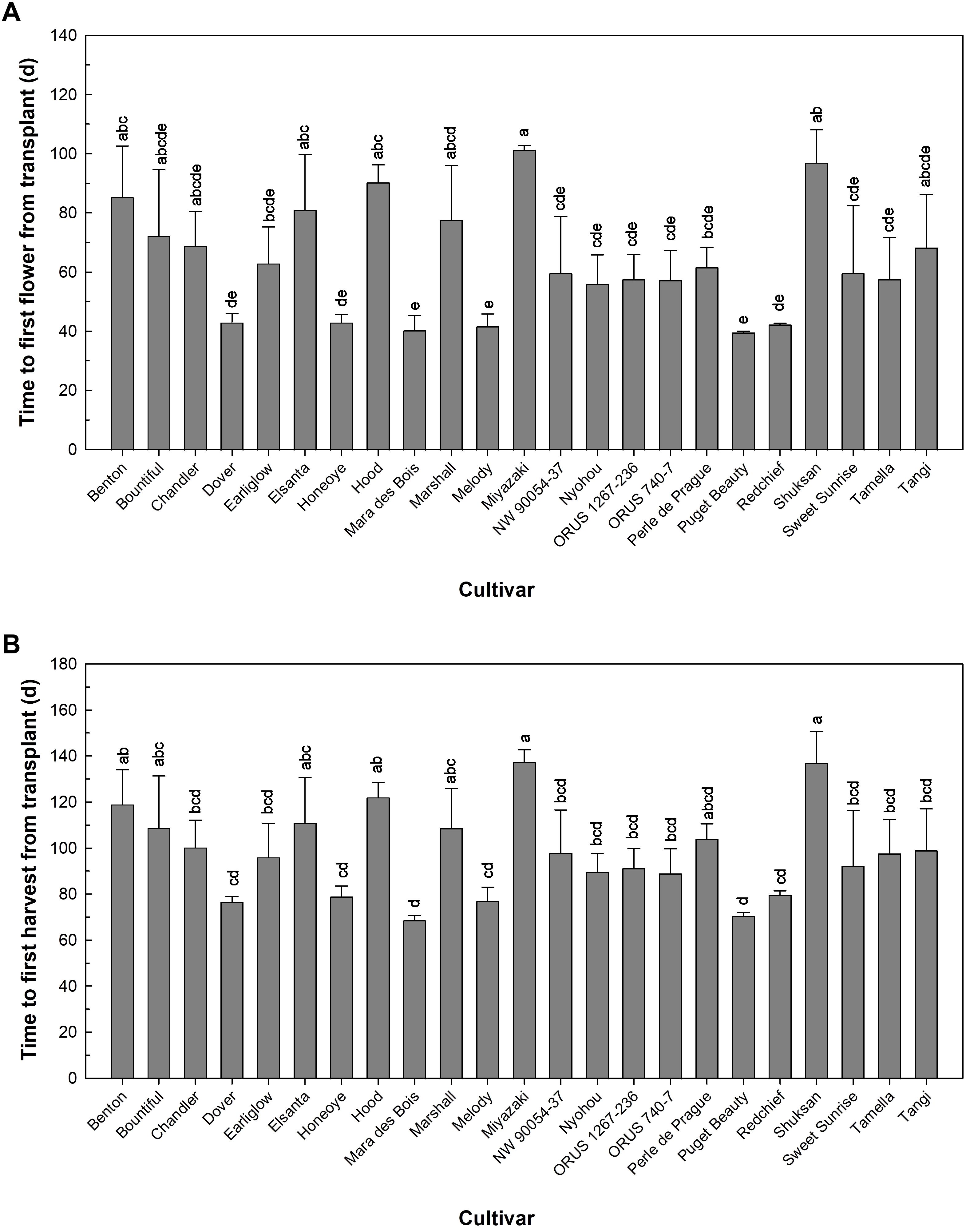 Bar charts compare various cultivars on time to first flower and harvest from transplanting in days. Chart A shows flowering times, with cultivars like 'Tangi' taking longer. Chart B presents harvest times, with 'Shuksan' and 'Chandler' showing longer durations. Error bars indicate variability, and annotations denote statistical groupings.