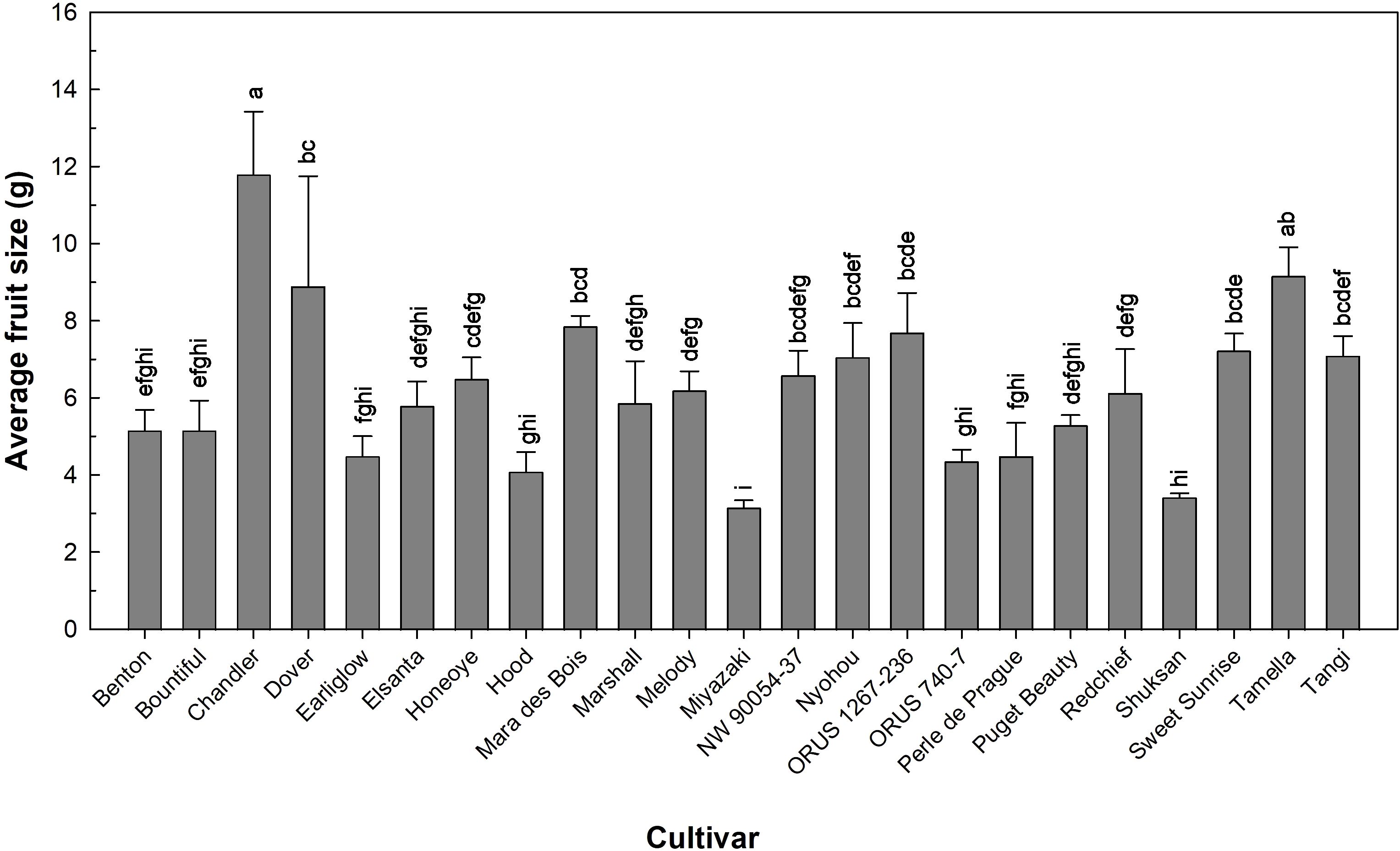 Bar chart showing average fruit size in grams across various cultivars, ranging from 'Benton' to 'Tangi'. Error bars represent variability. 'Chandler' has the largest average size, while 'Miyazaki' is the smallest. Letter labels above bars indicate statistical groupings.