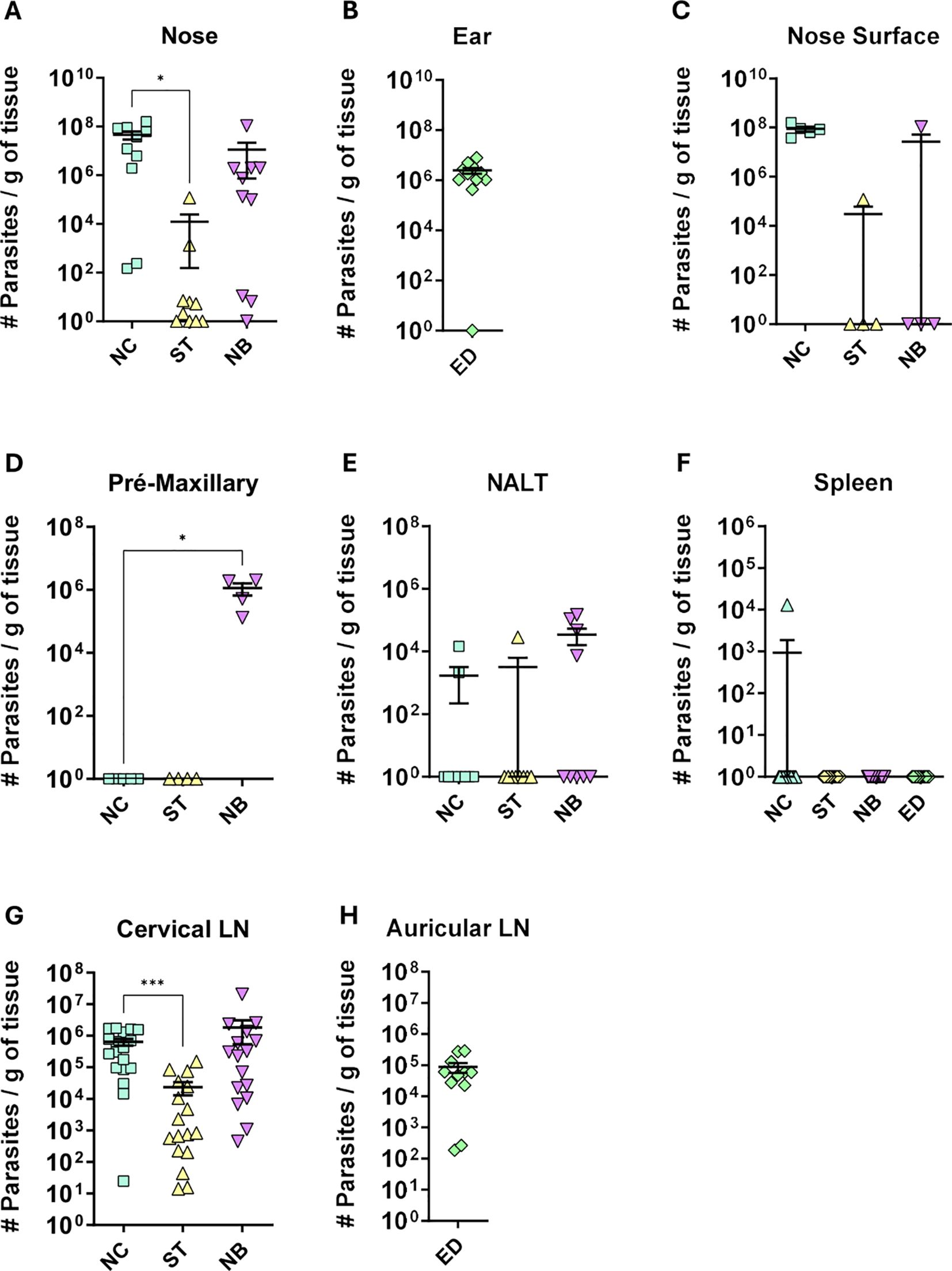 Bar graphs labeled A to H show the number of parasites per gram of tissue in various anatomical sites: Nose, Ear, Nose Surface, Pré-Maxillary, NALT, Spleen, Cervical LN, and Auricular LN. Y-axis represents parasite count on a logarithmic scale. Different samples (NC, ST, NB, ED) display variation in parasite counts, with significant differences marked by asterisks.