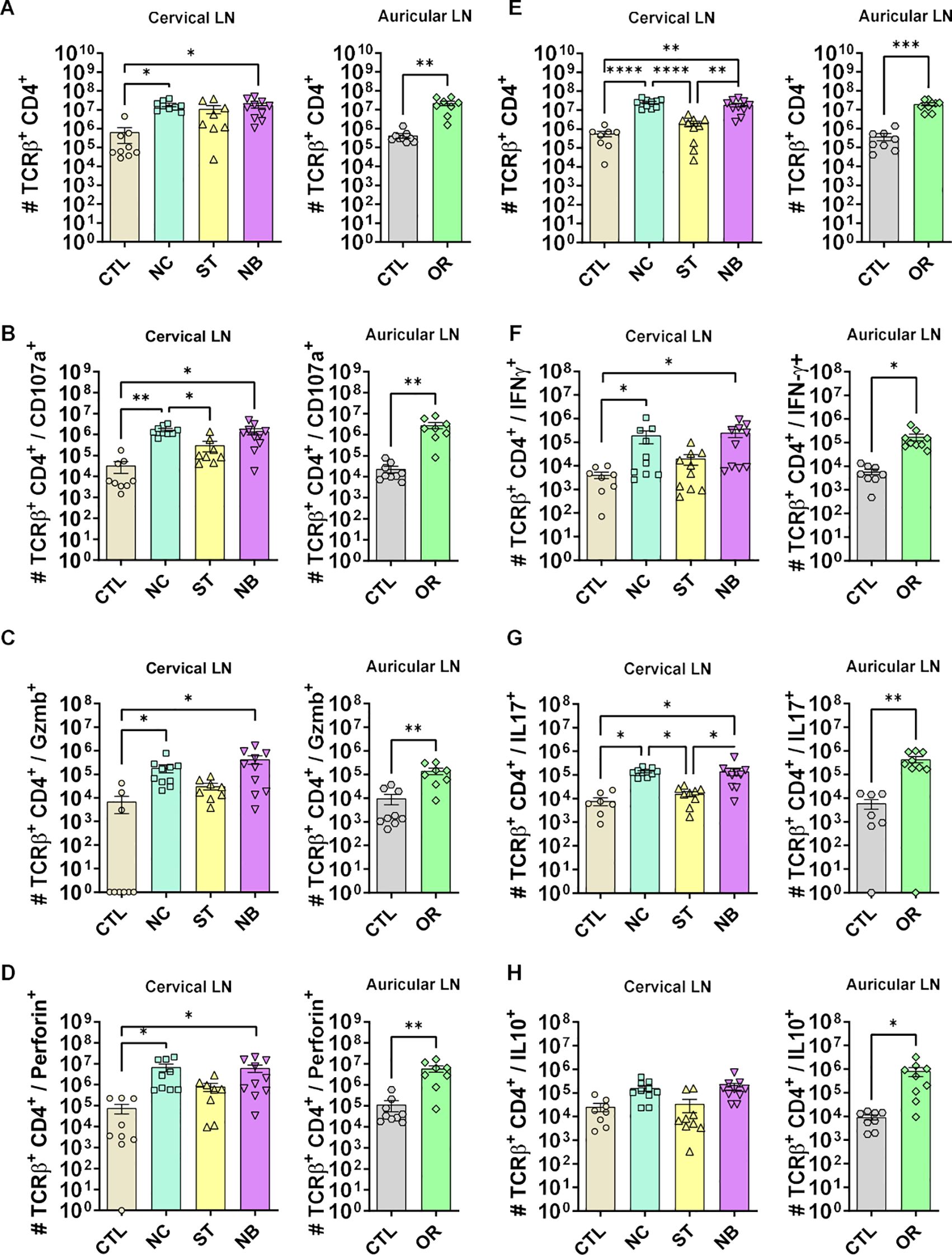 Bar graphs depicting data on TCRβ+ CD4+ cells across cervical and auricular lymph nodes (LN) under various conditions labeled CTL, NC, ST, NB, and OR. Panels A to H represent different cellular markers or conditions, with statistical significance indicated by asterisks for comparisons. Data shows variances in cell counts and markers such as CD107a, GzmB, Perforin, IFNγ, IL17, and IL10.