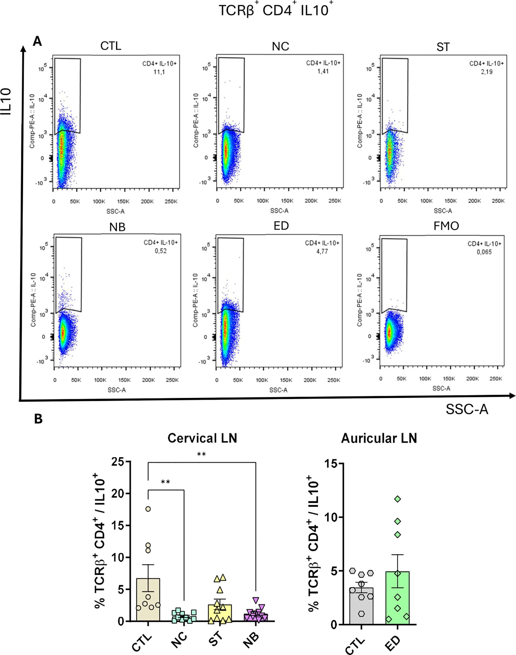 Flow cytometry plots (A) and bar graphs (B) showing percentages of TCRβ⁺ CD4⁺ IL10⁺ cells. Plots display different groups: CTL, NC, ST, NB, ED, and FMO. Bar graphs illustrate cervical and auricular lymph nodes data with significant differences marked by asterisks.