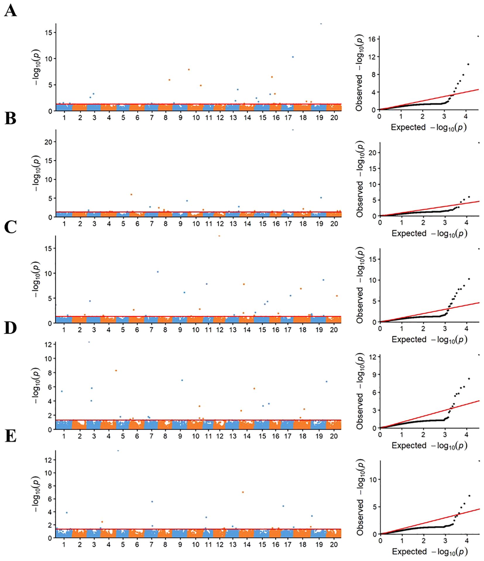 Five pairs of plots labeled A to E. Each pair contains a Manhattan plot on the left and a Q-Q plot on the right. Manhattan plots display \(-\log_{10}(p)\) values against categories 1 to 20. Q-Q plots show observed versus expected \(-\log_{10}(p)\) values. Dots indicate data points; red lines represent expected distributions. Variability in data points and trends across plots.