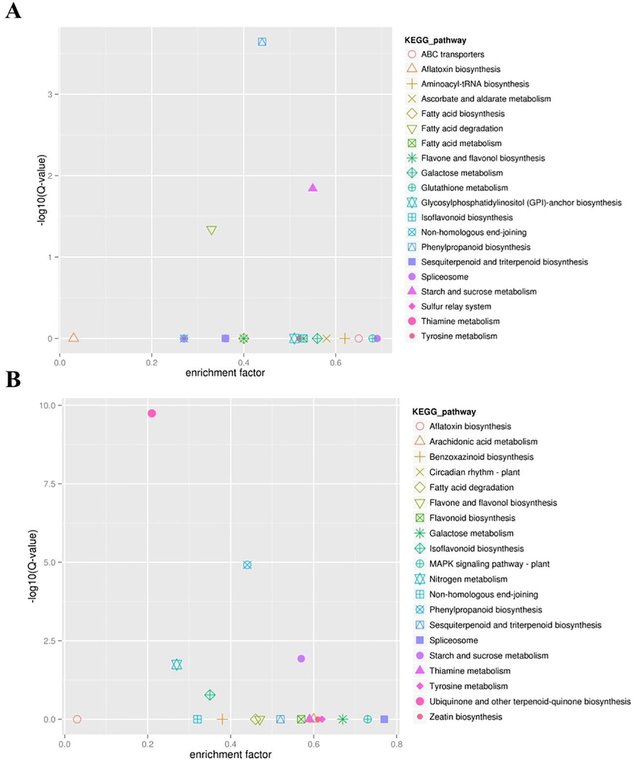 Two scatter plots labeled A and B depict enrichment analysis data for KEGG pathways. Plot A shows pathways with low enrichment factors and -log10(Q-values), with diverse symbols representing different pathways like fatty acid biosynthesis and tyrosine metabolism. Plot B displays higher values, with pathways such as zeatin biosynthesis and thiamine metabolism. Each plot has a legend indicating pathways with distinct symbols and colors. The x-axis represents the enrichment factor, while the y-axis shows -log10(Q-value).