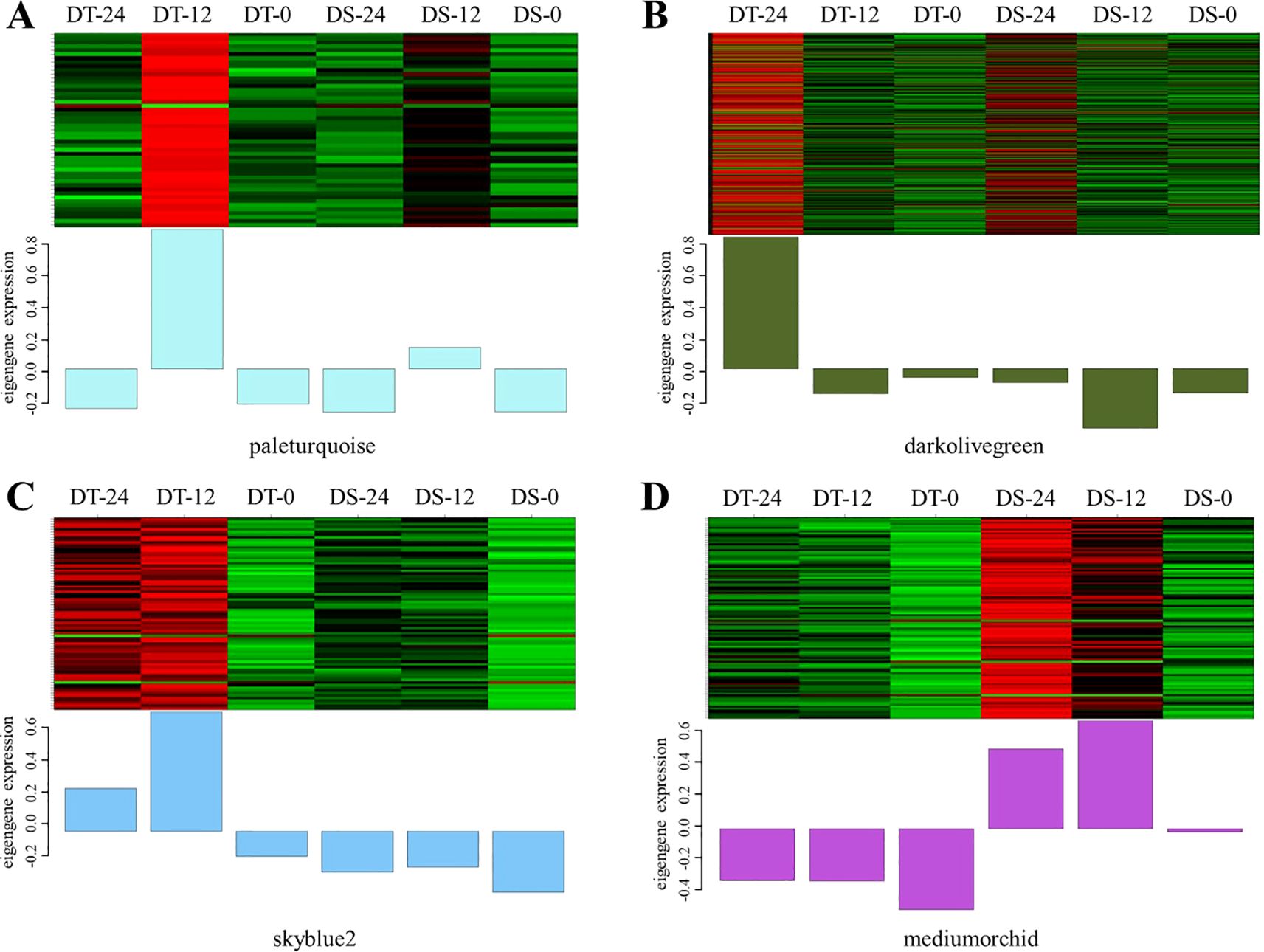 Heatmaps with corresponding bar graphs in four panels labeled A to D, comparing eigengene expression across different conditions (DT-24, DT-12, DT-0, DS-24, DS-12, DS-0). Panel A features a paleturquoise section, B darkolivegreen, C skyblue2, and D mediumorchid. Each heatmap displays expression levels with color gradients, and the bar graphs below quantify eigengene expression.